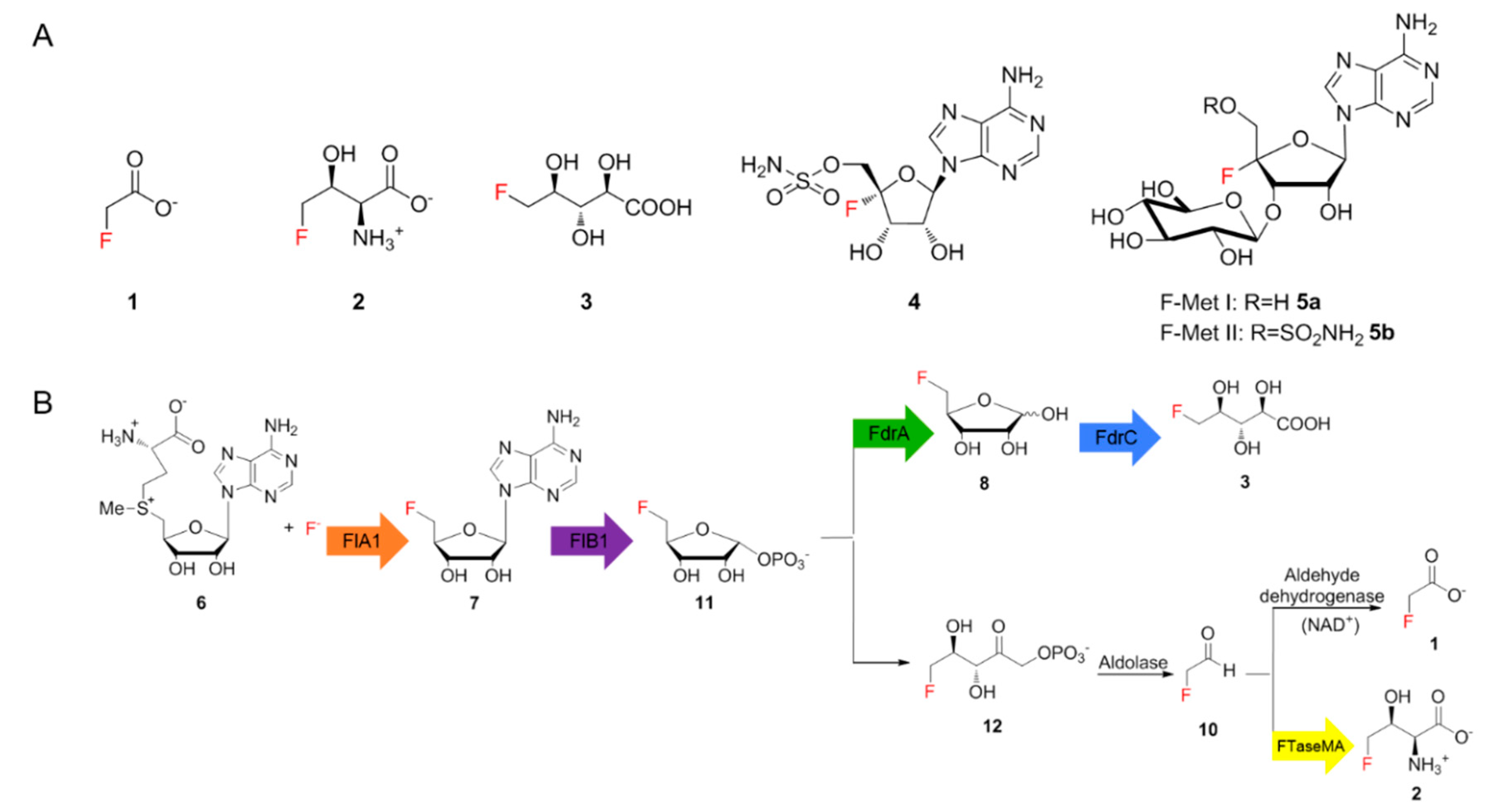 Biomolecules 10 01023 g001