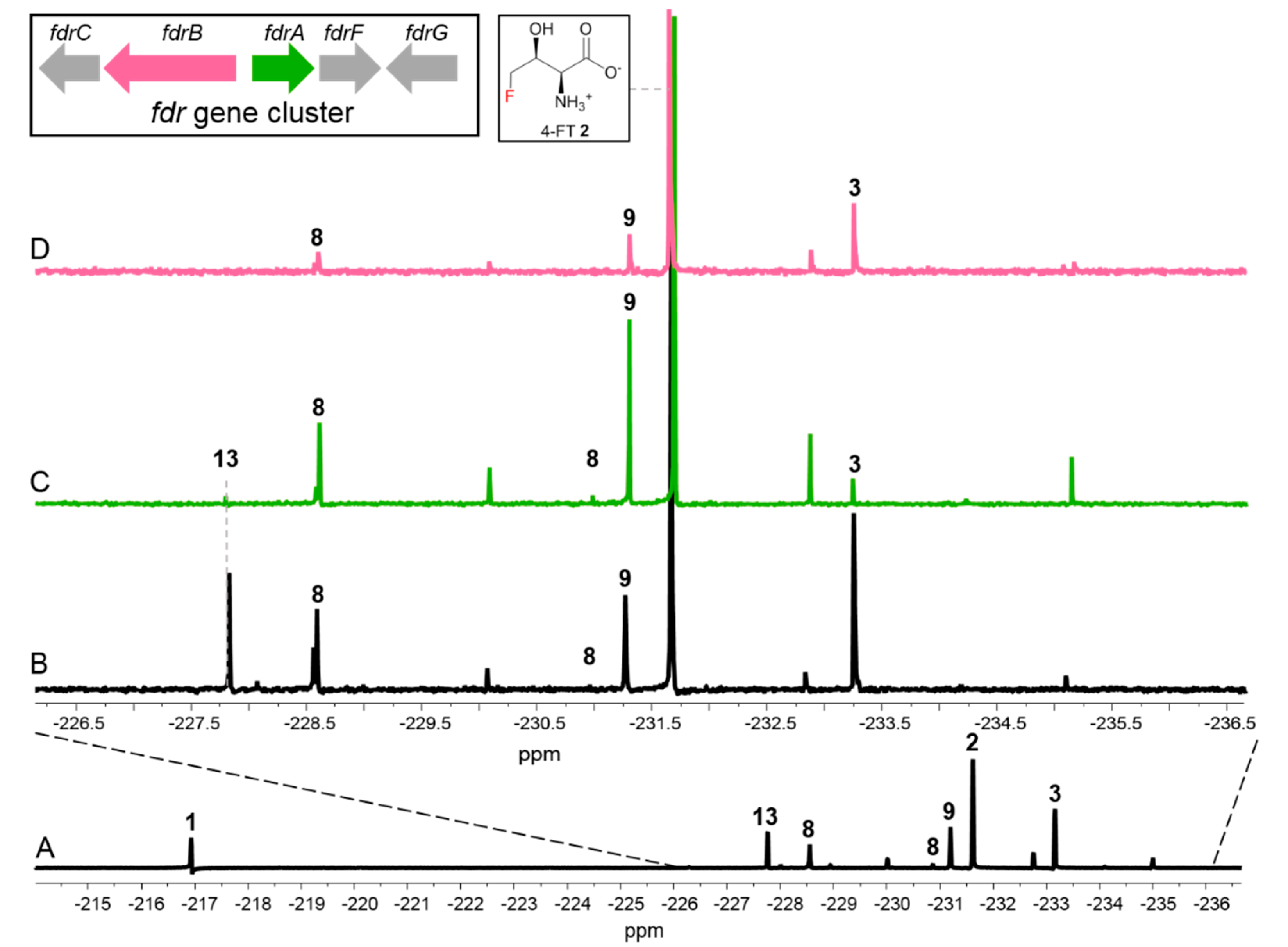 Biomolecules 10 01023 g003