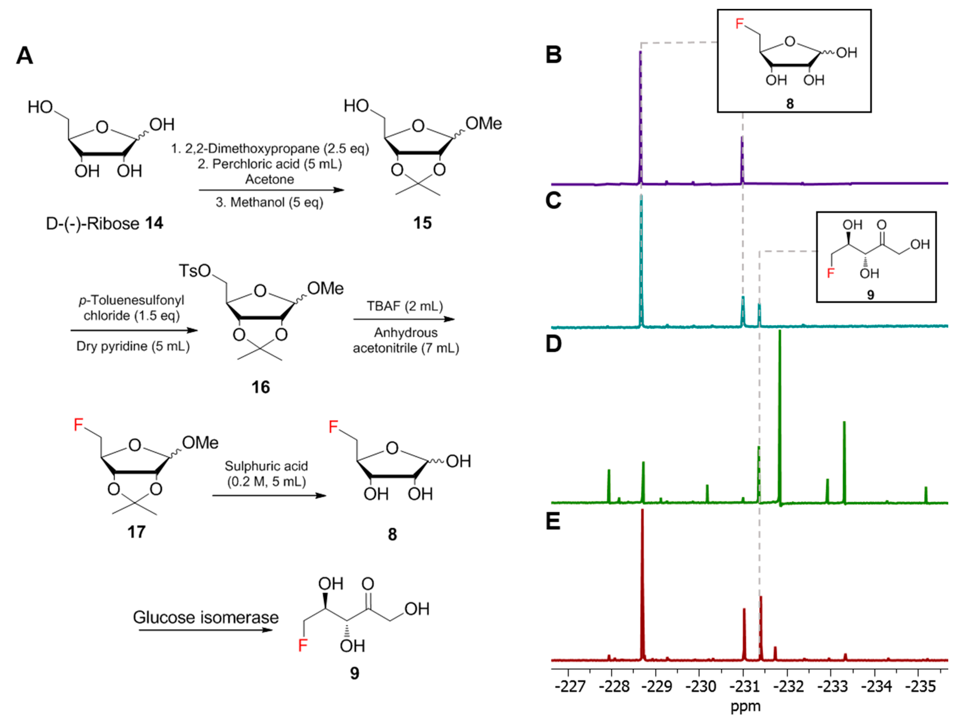 Biomolecules 10 01023 g004
