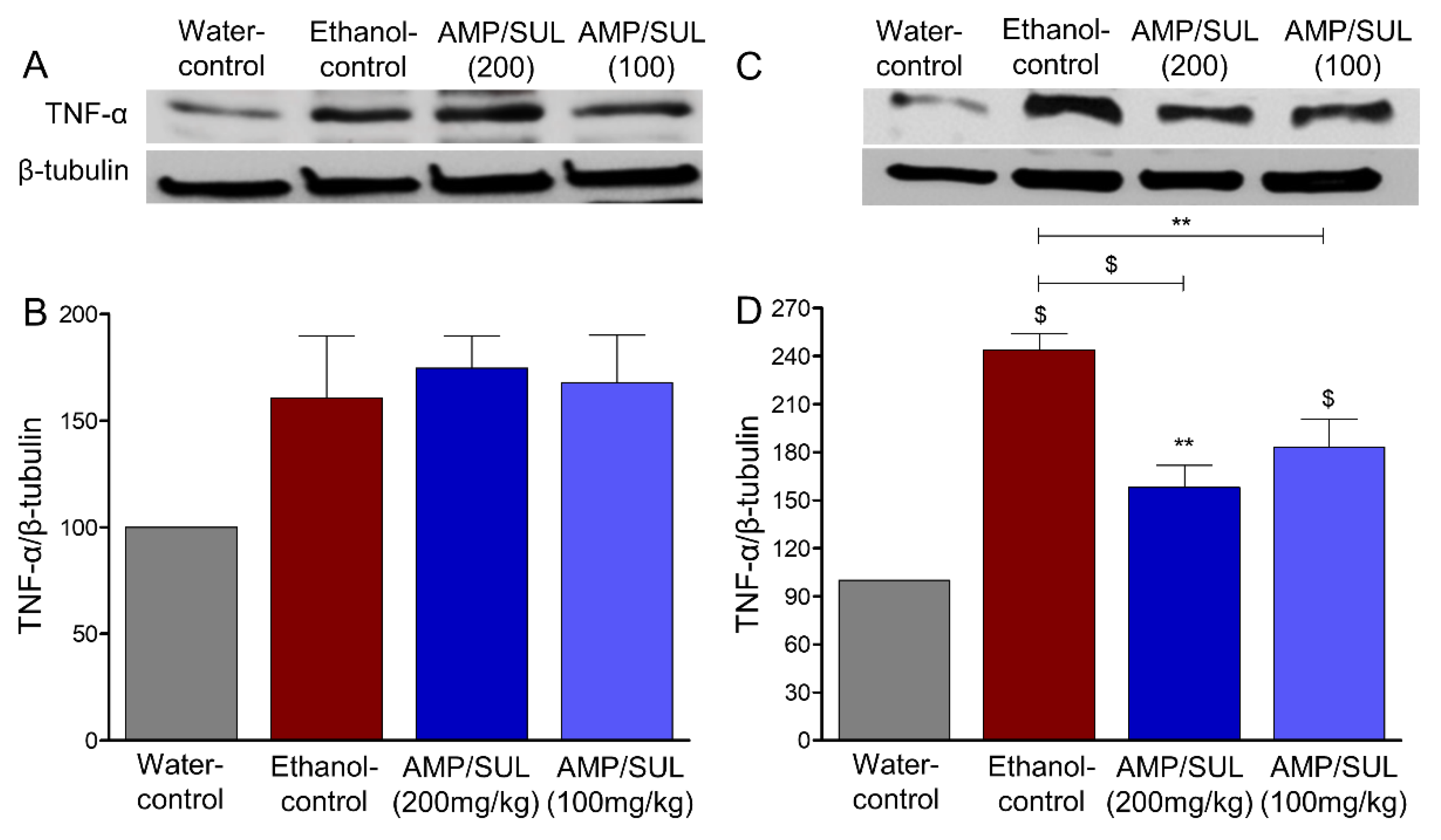 Biomolecules 10 01030 g005 Biomolecules 10 01030 g005