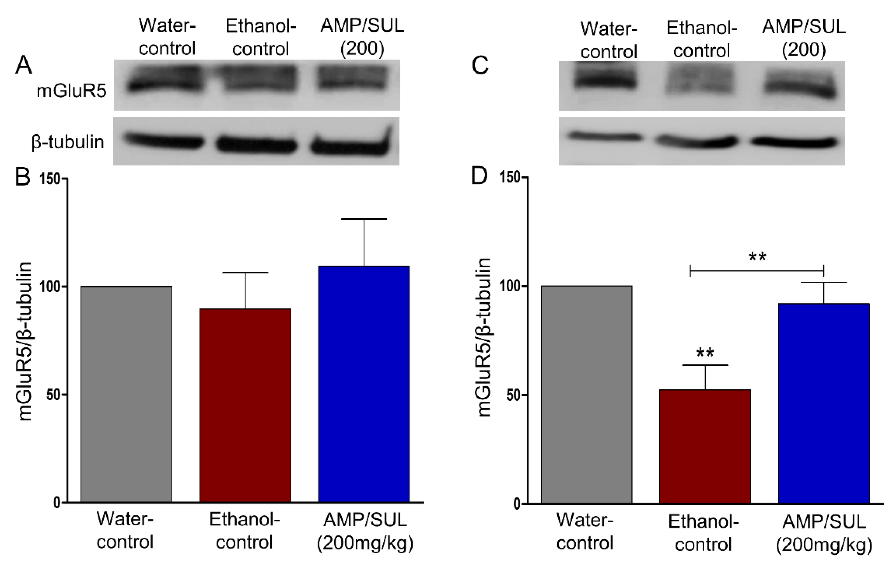 Biomolecules 10 01030 g006 Biomolecules 10 01030 g006