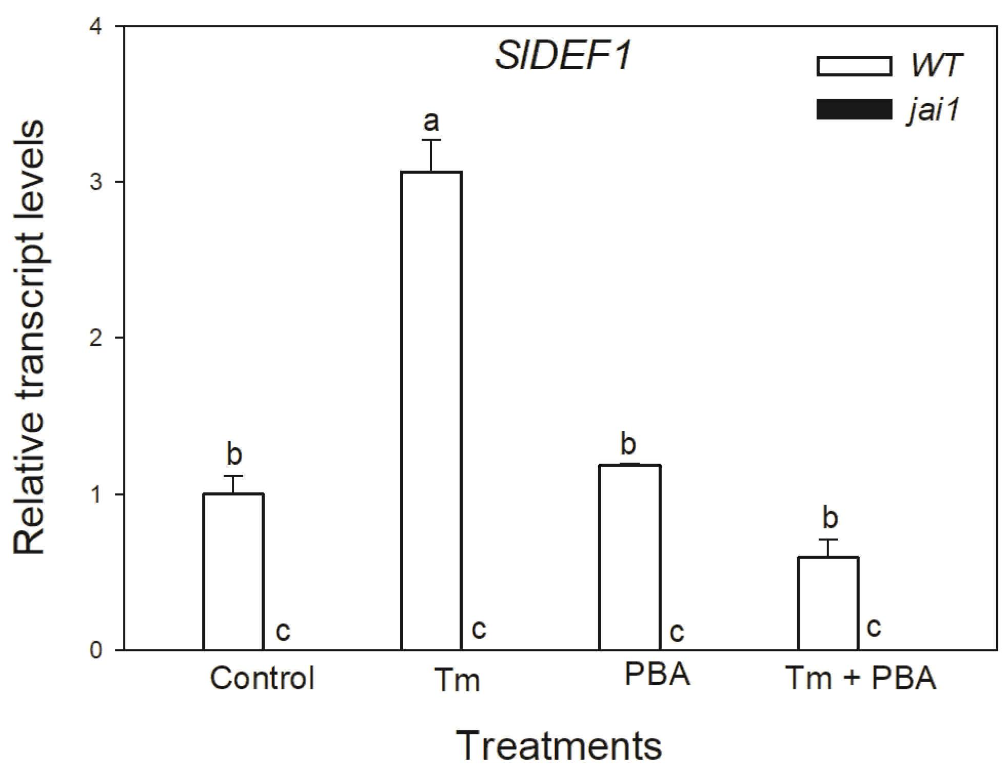 Biomolecules 10 01031 g003 Biomolecules 10 01031 g003