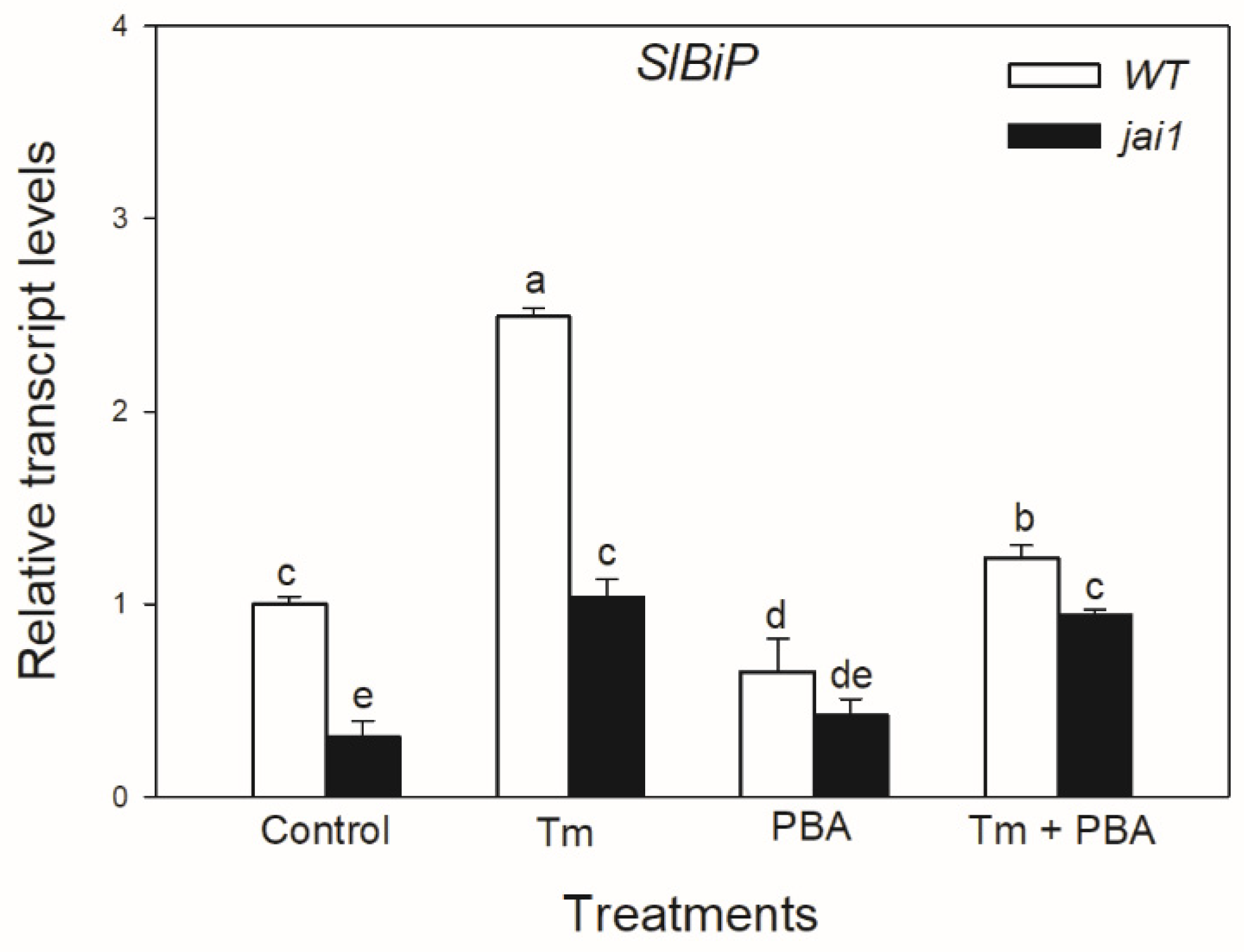 Biomolecules 10 01031 g004 Biomolecules 10 01031 g004