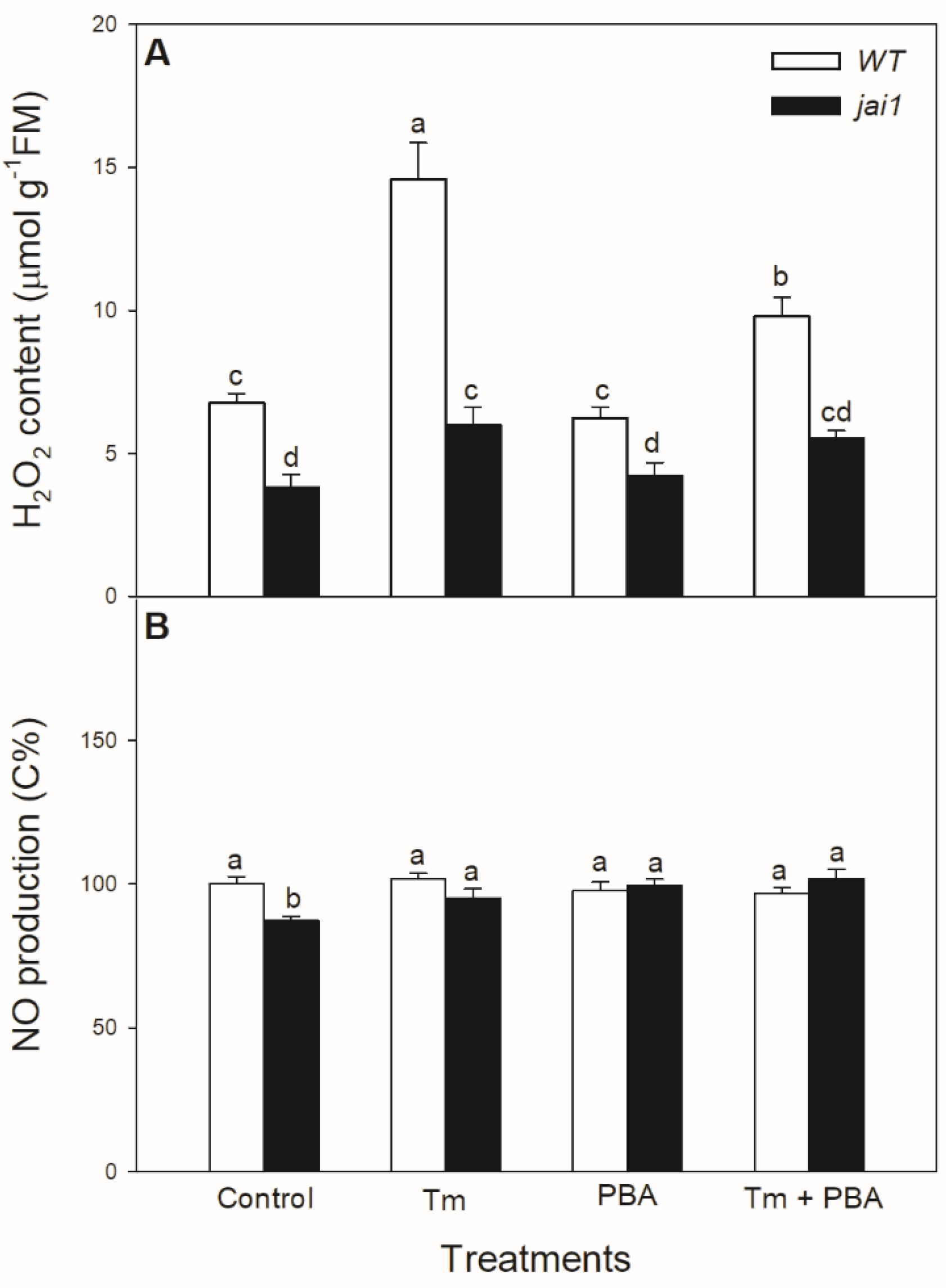Biomolecules 10 01031 g007 Biomolecules 10 01031 g007
