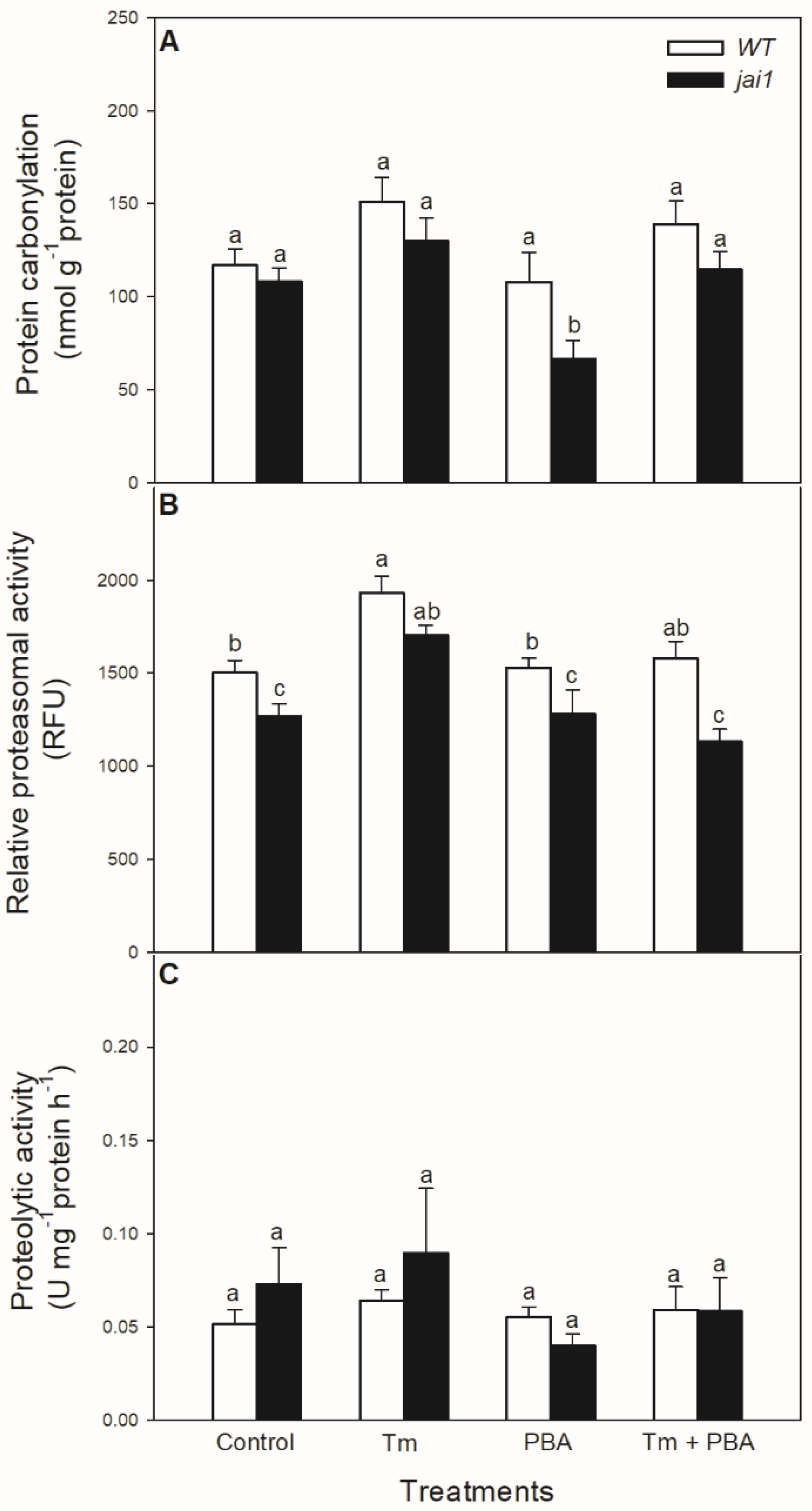 Biomolecules 10 01031 g008 Biomolecules 10 01031 g008