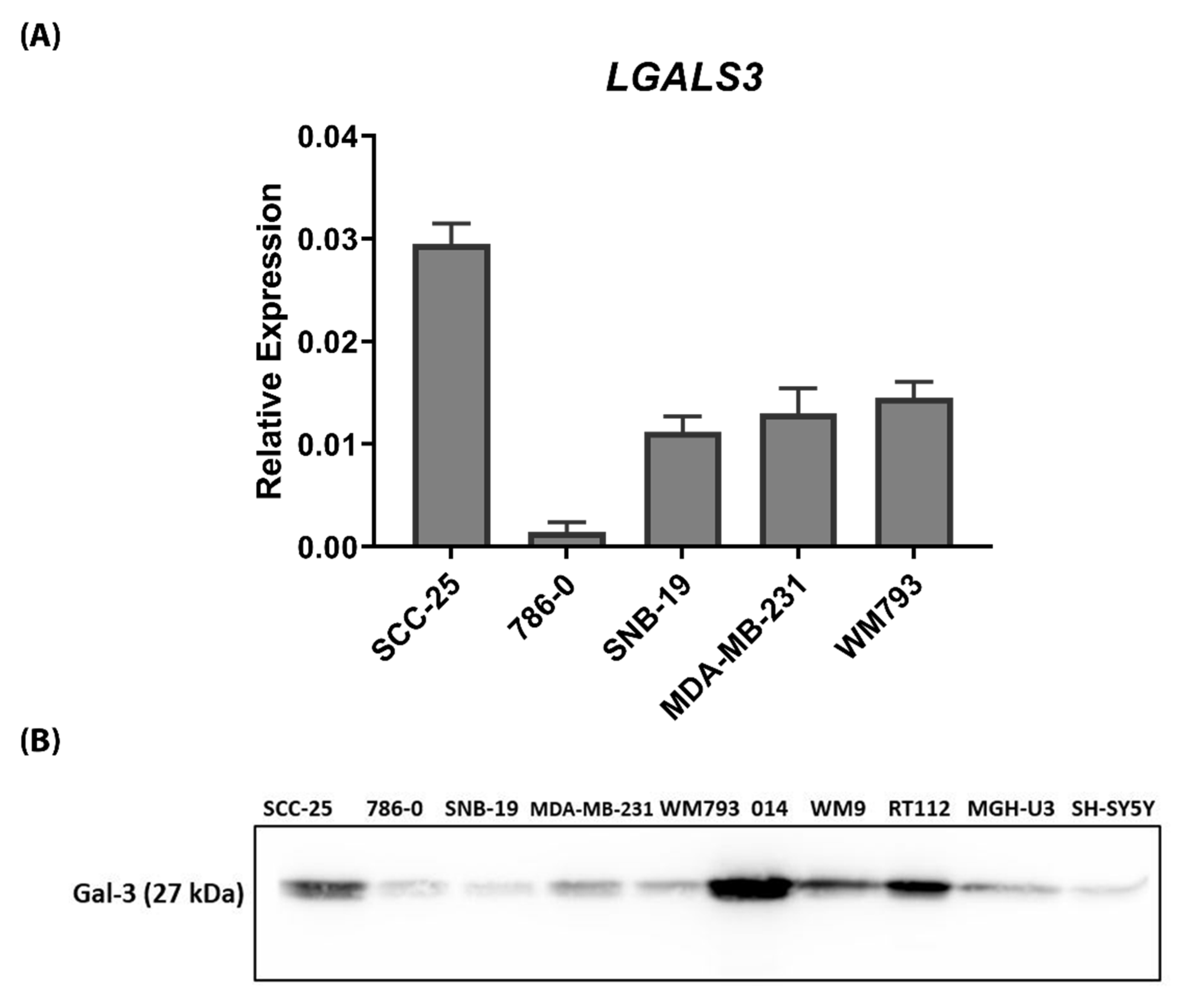 Biomolecules 10 01035 g001 Biomolecules 10 01035 g001
