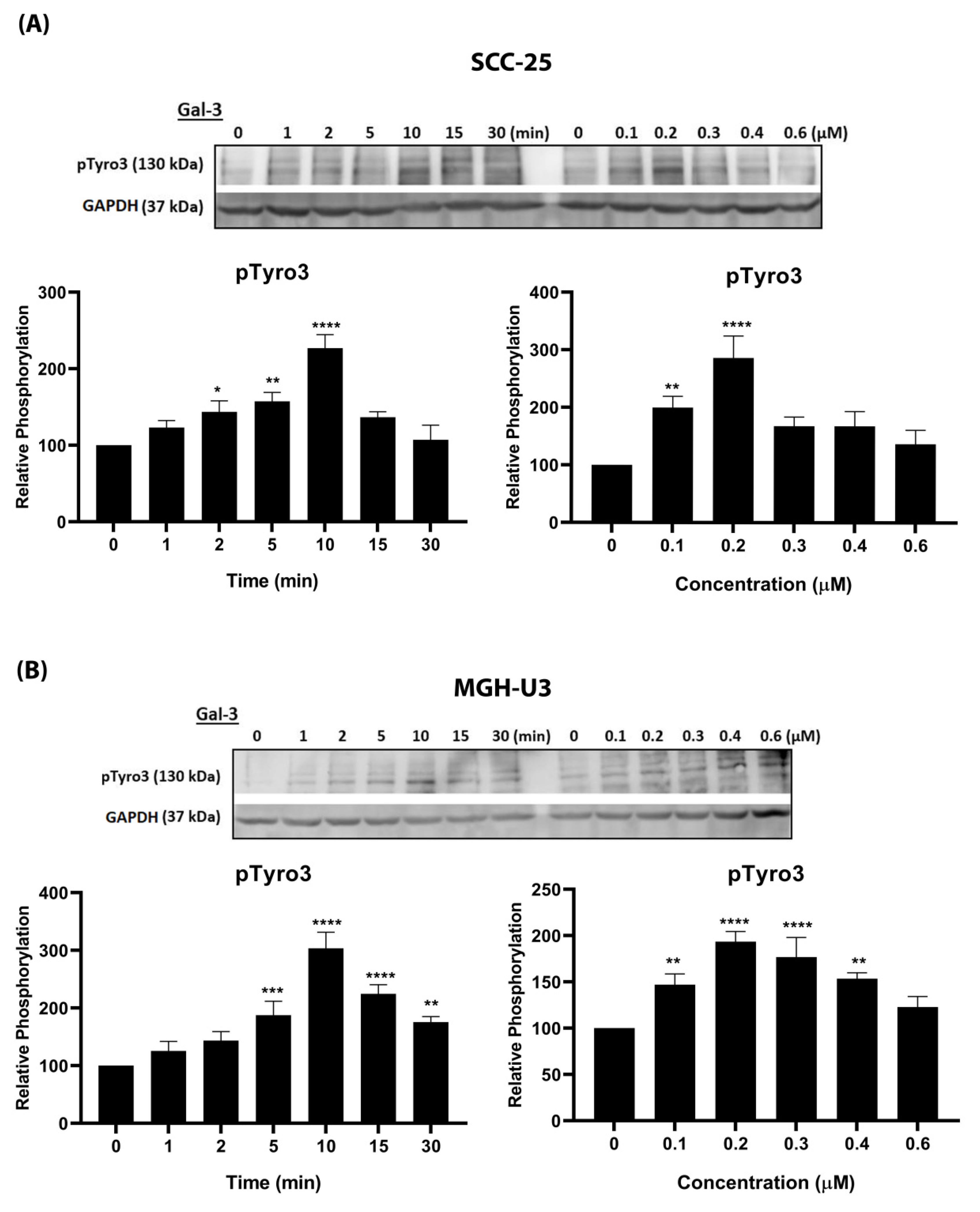 Biomolecules 10 01035 g002 Biomolecules 10 01035 g002