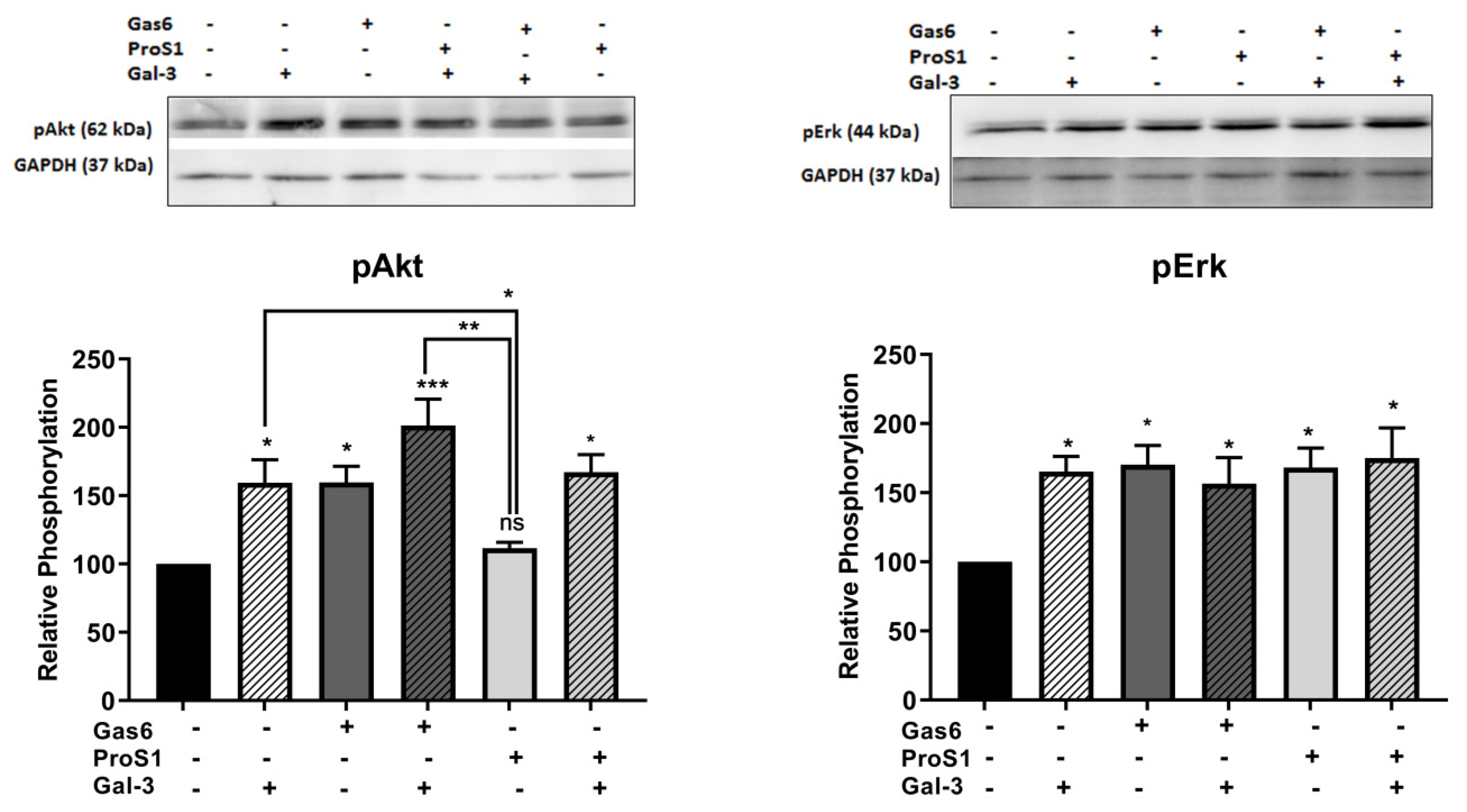 Biomolecules 10 01035 g004 Biomolecules 10 01035 g004