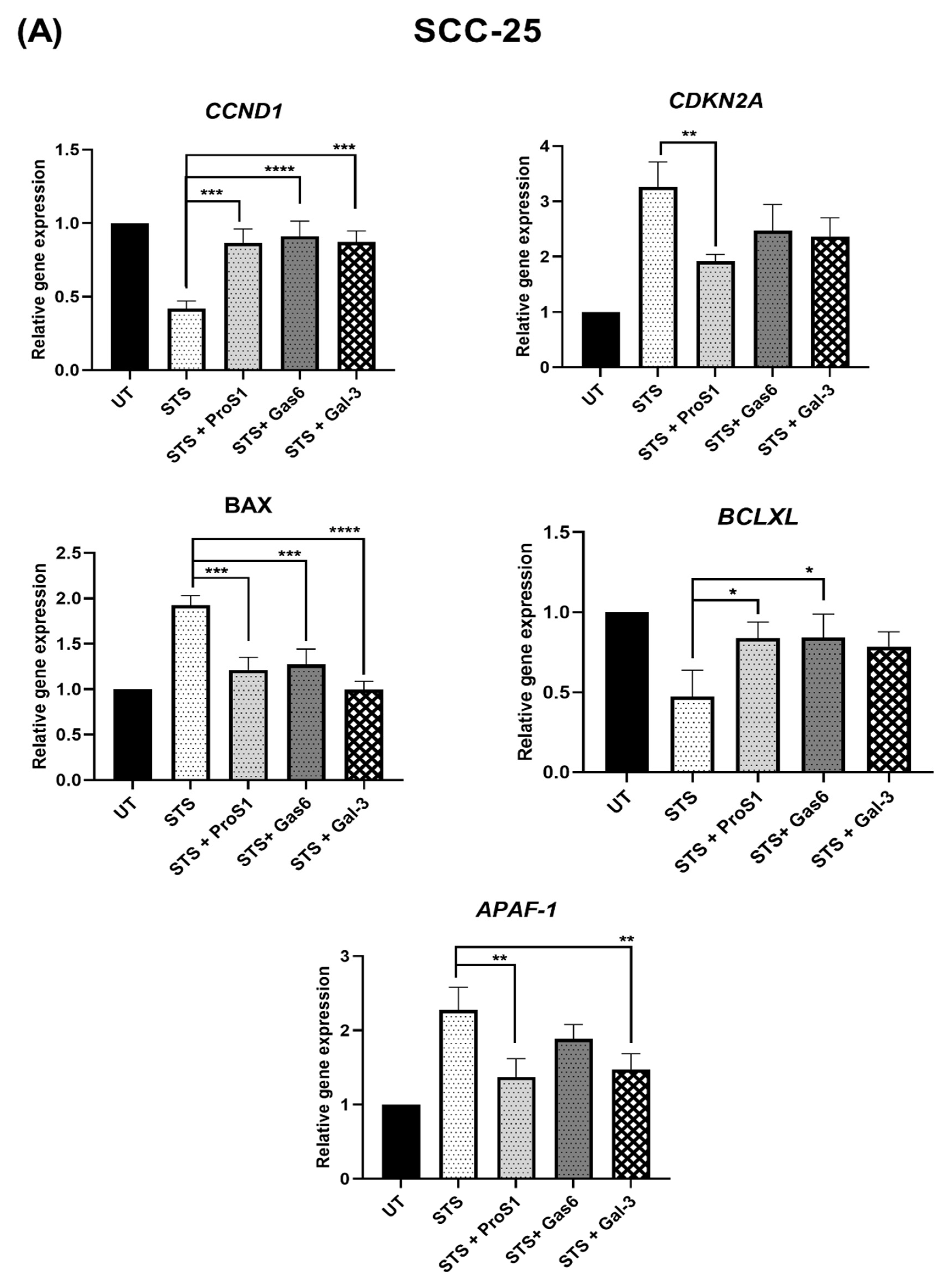 Biomolecules 10 01035 g007a Biomolecules 10 01035 g007a