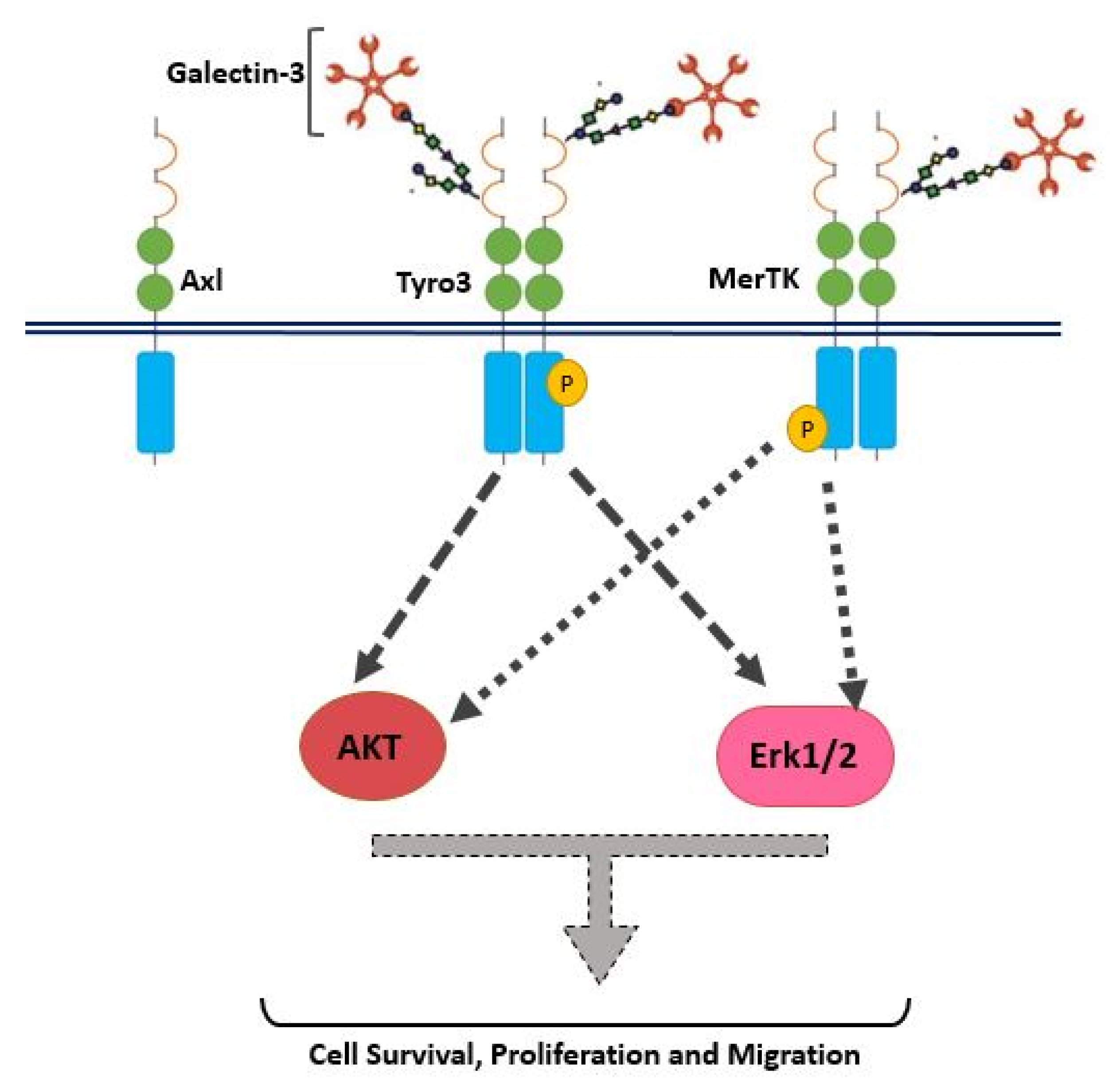 Biomolecules 10 01035 g009 Biomolecules 10 01035 g009