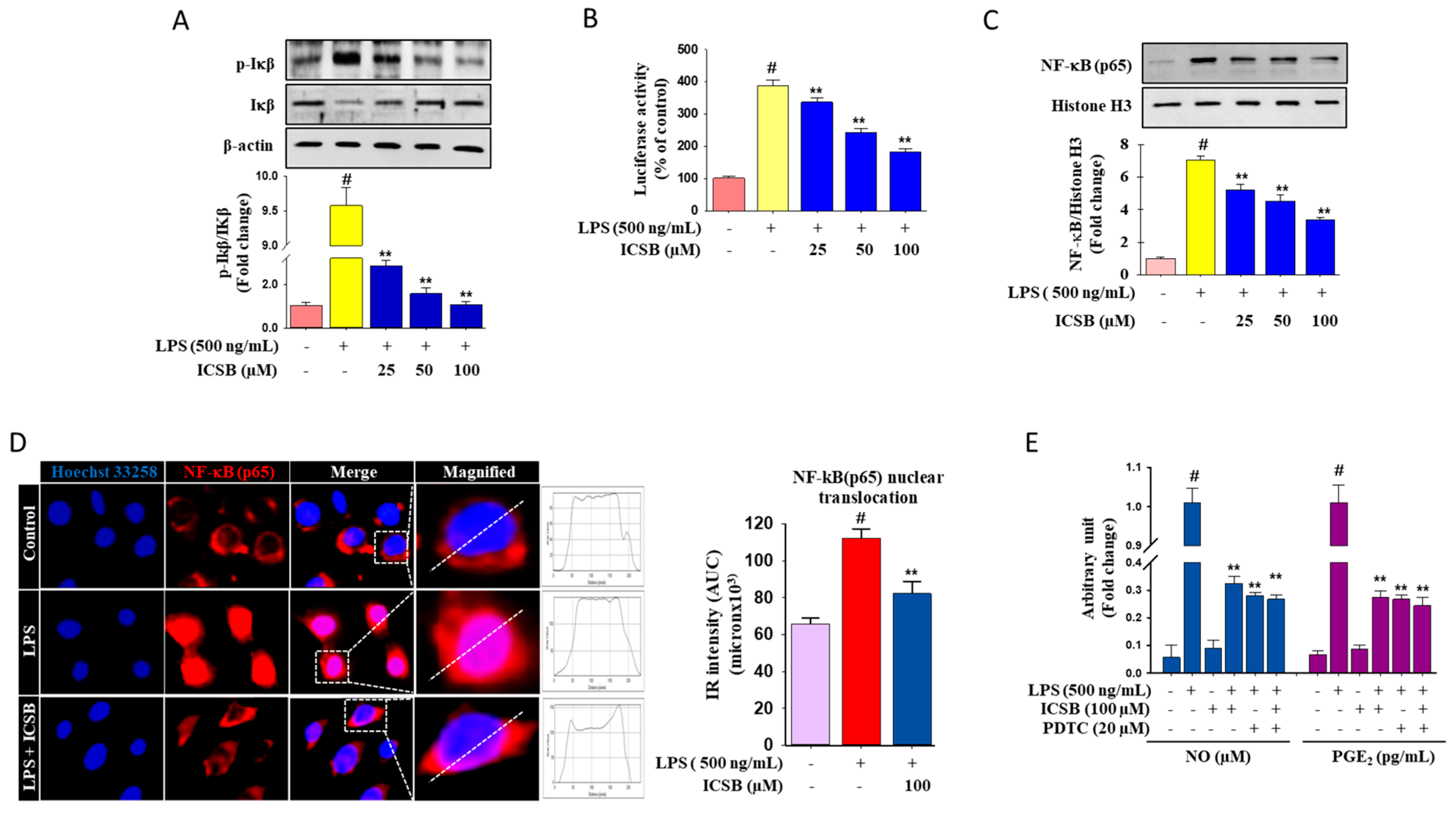 Biomolecules 10 01037 g003