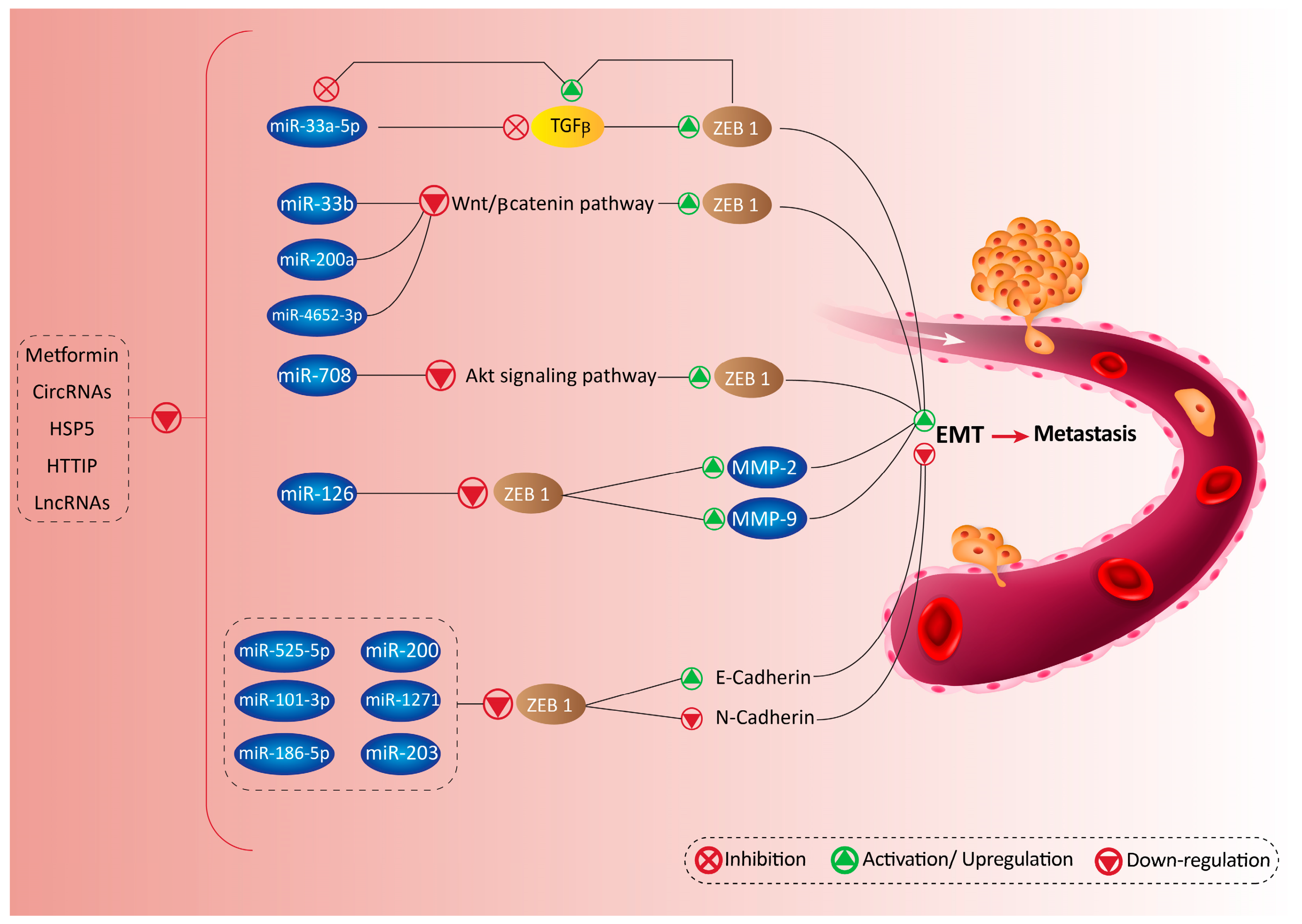 Biomolecules 10 01040 g002 Biomolecules 10 01040 g002