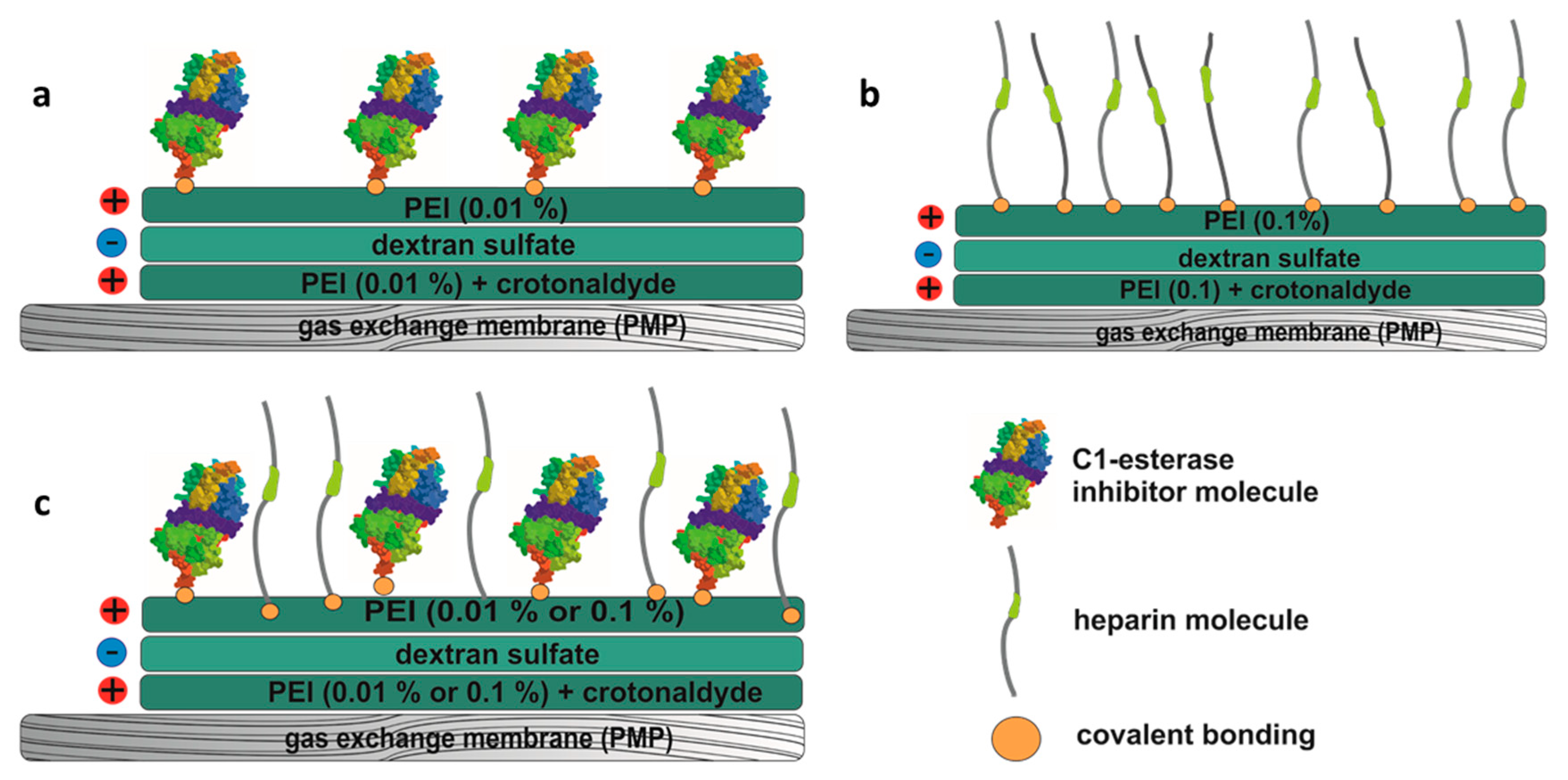 Biomolecules 10 01042 g002