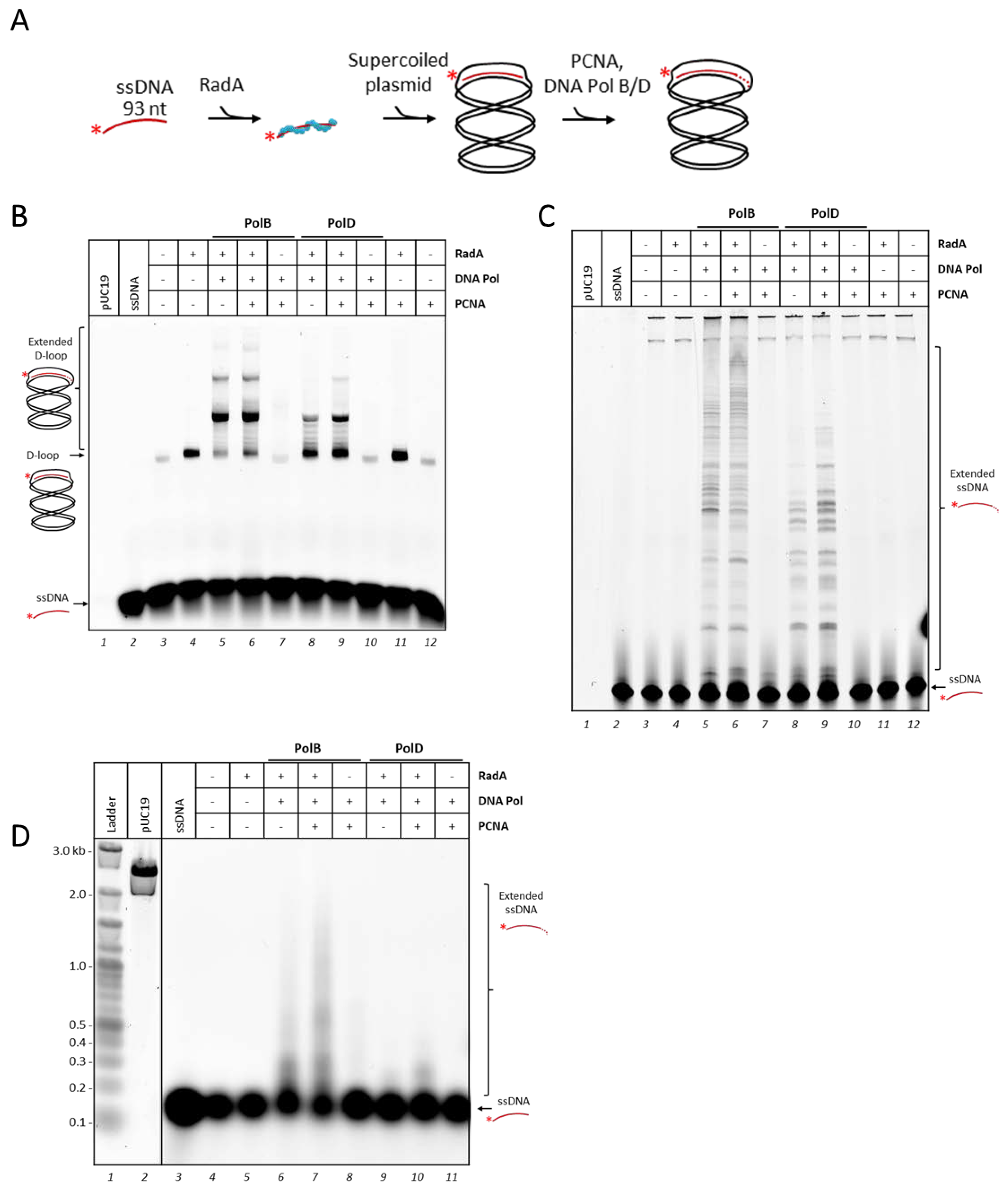 Biomolecules 10 01045 g002