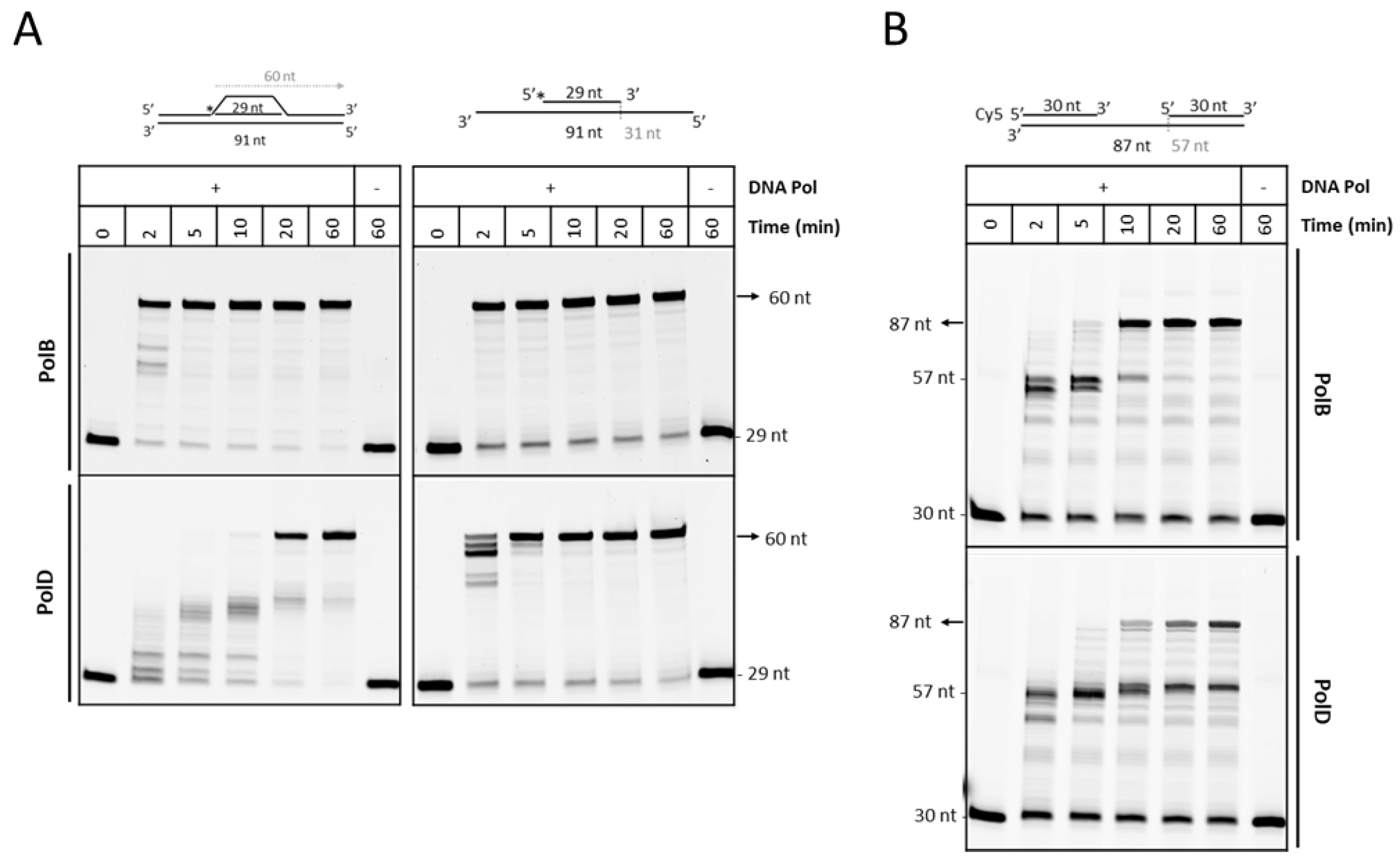 Biomolecules 10 01045 g003