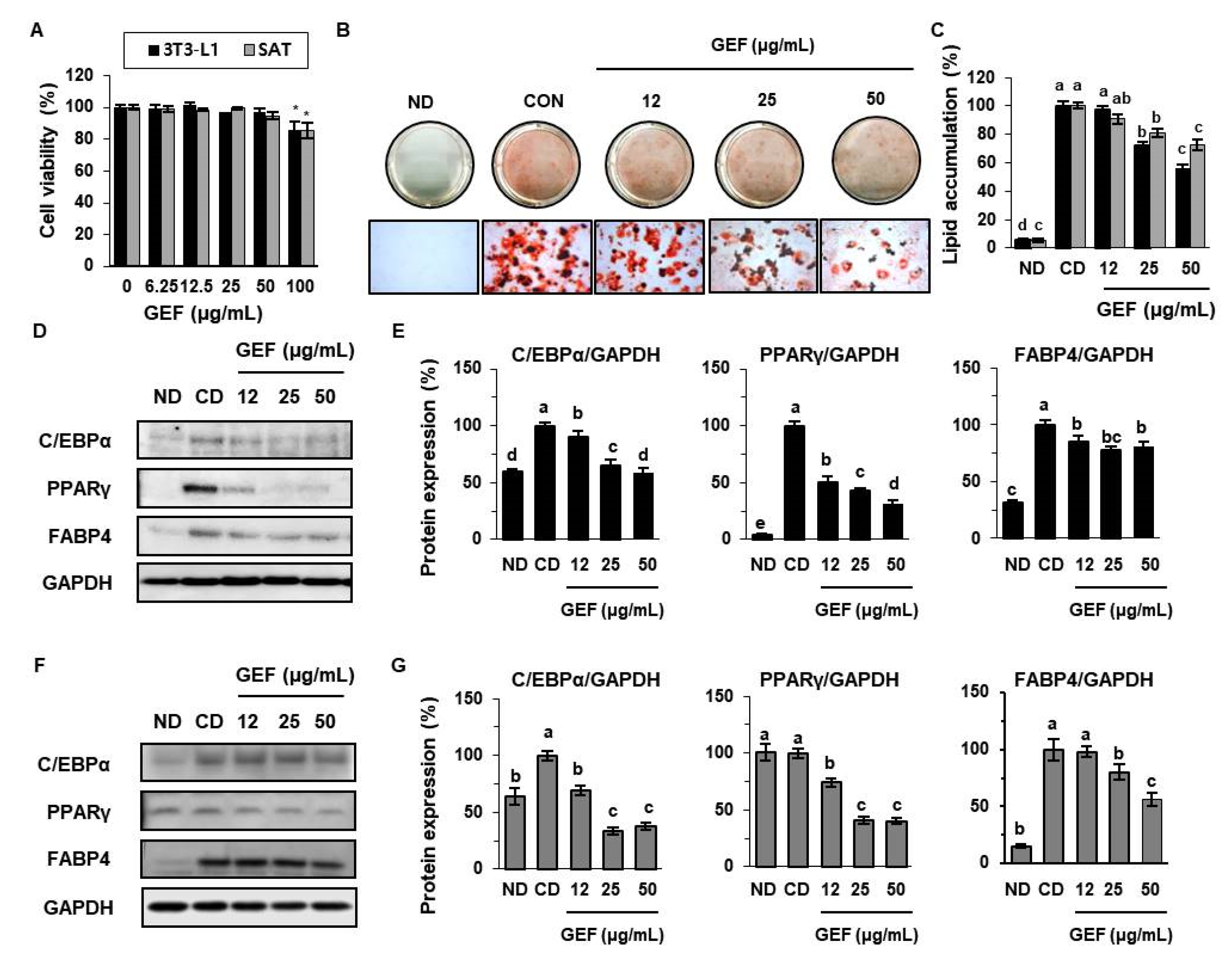 Biomolecules 10 01048 g001 Biomolecules 10 01048 g001