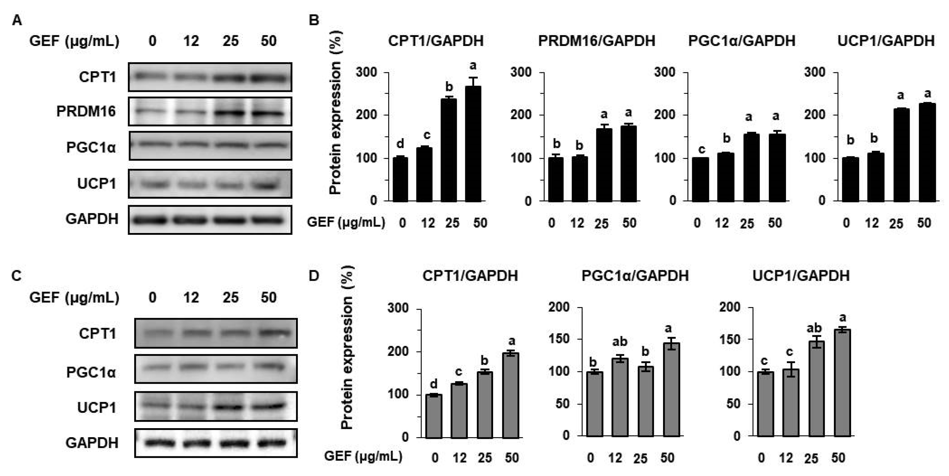 Biomolecules 10 01048 g004 Biomolecules 10 01048 g004