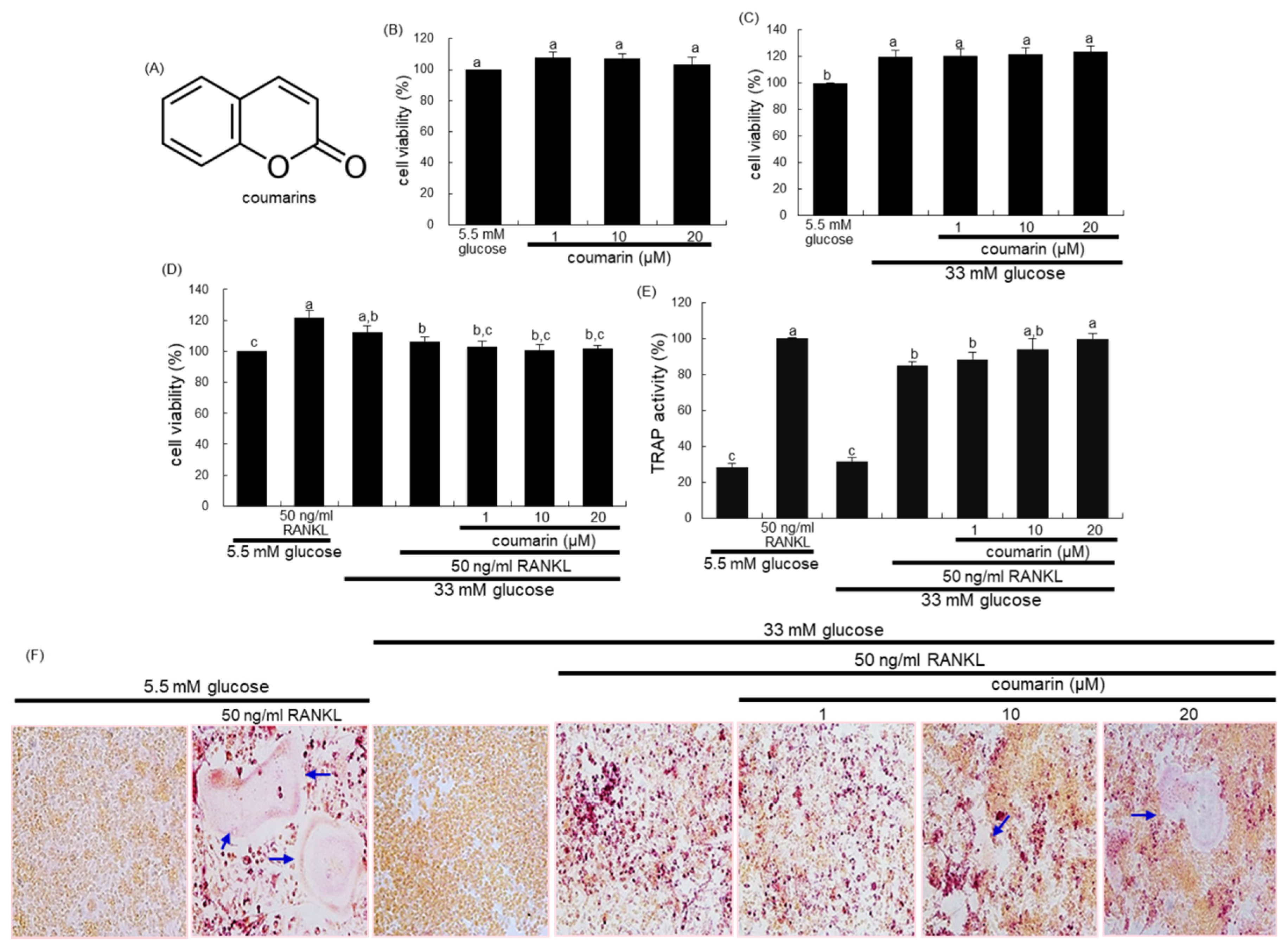 Biomolecules 10 01052 g001