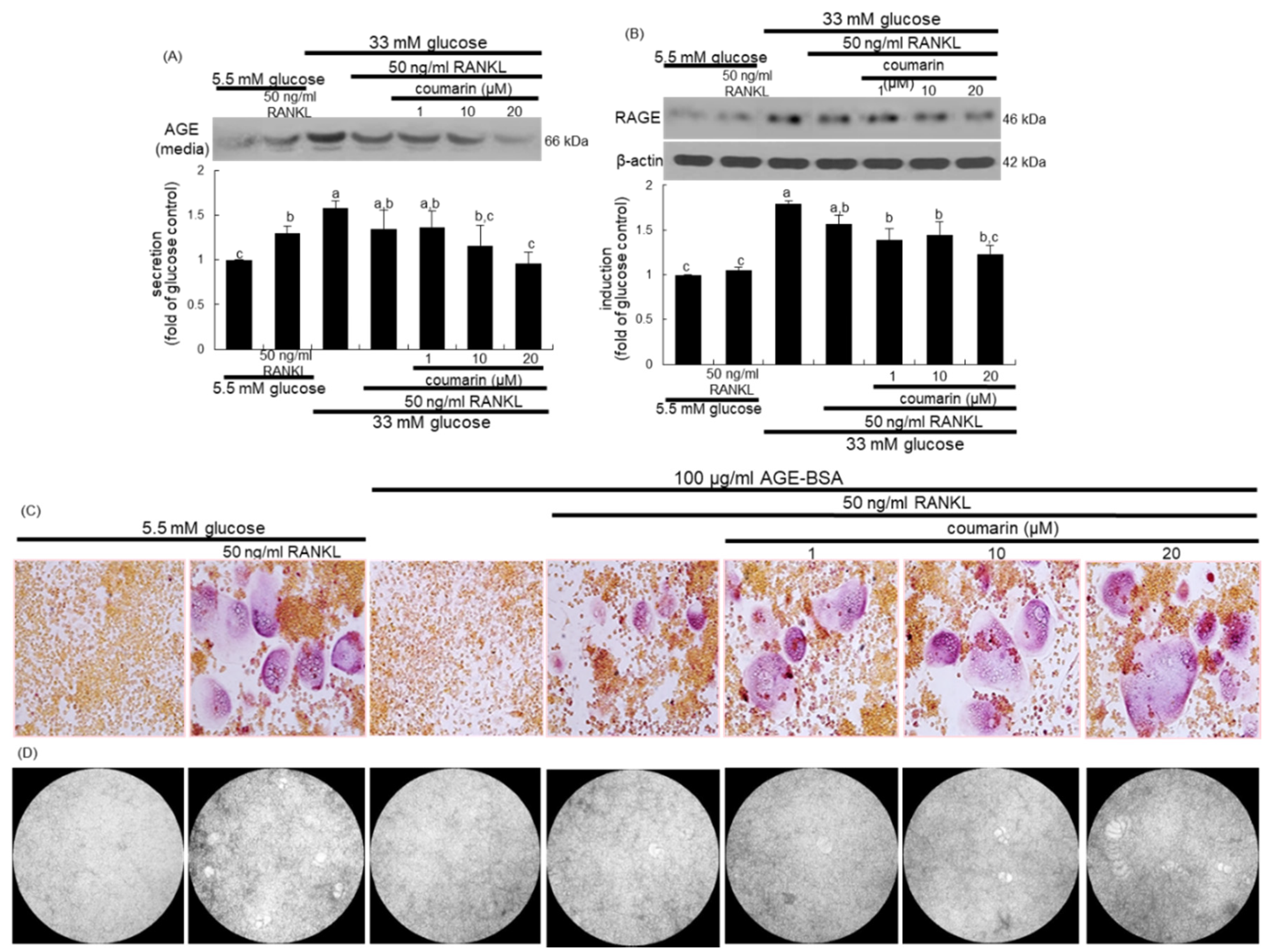 Biomolecules 10 01052 g004