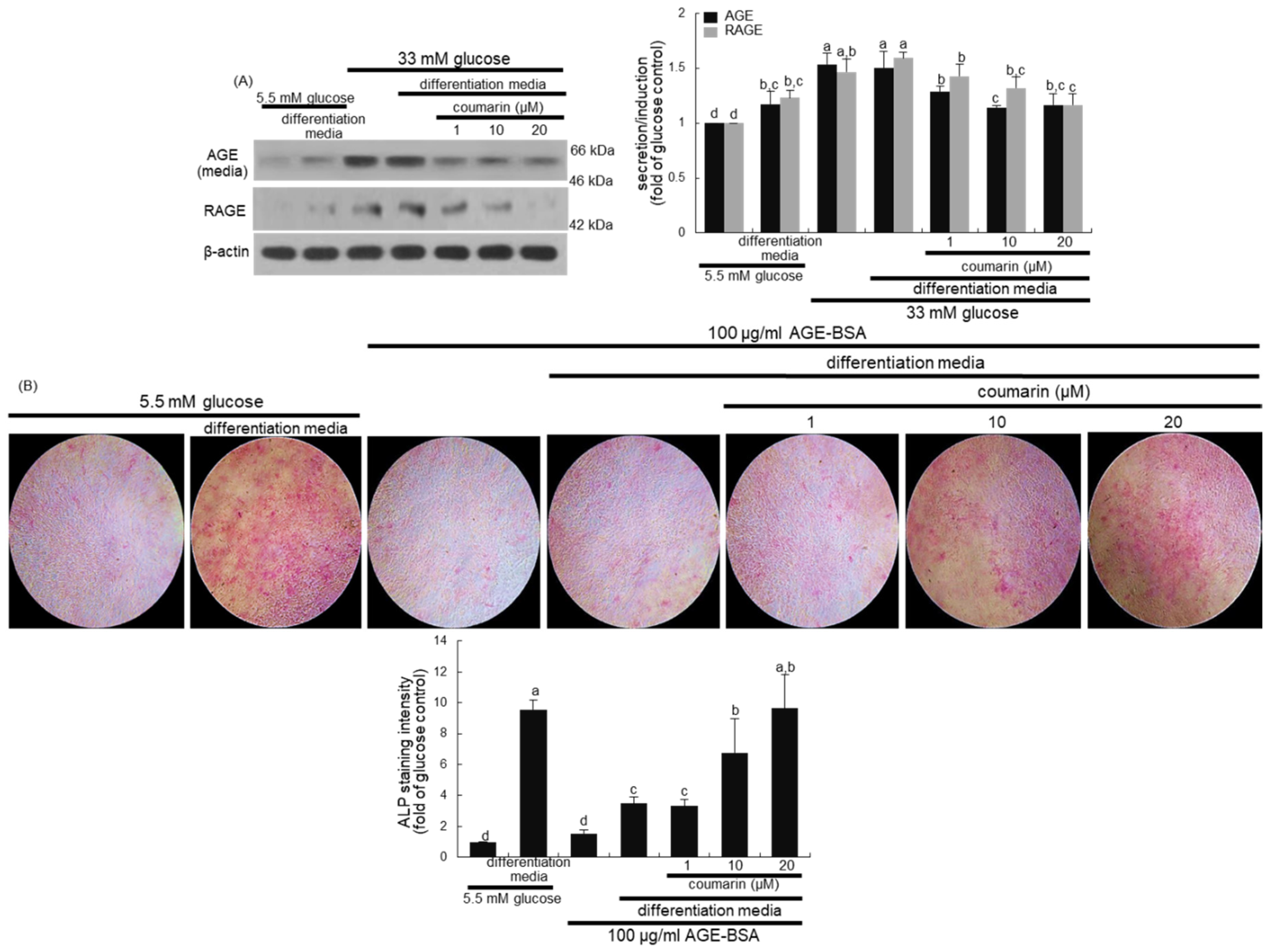 Biomolecules 10 01052 g007