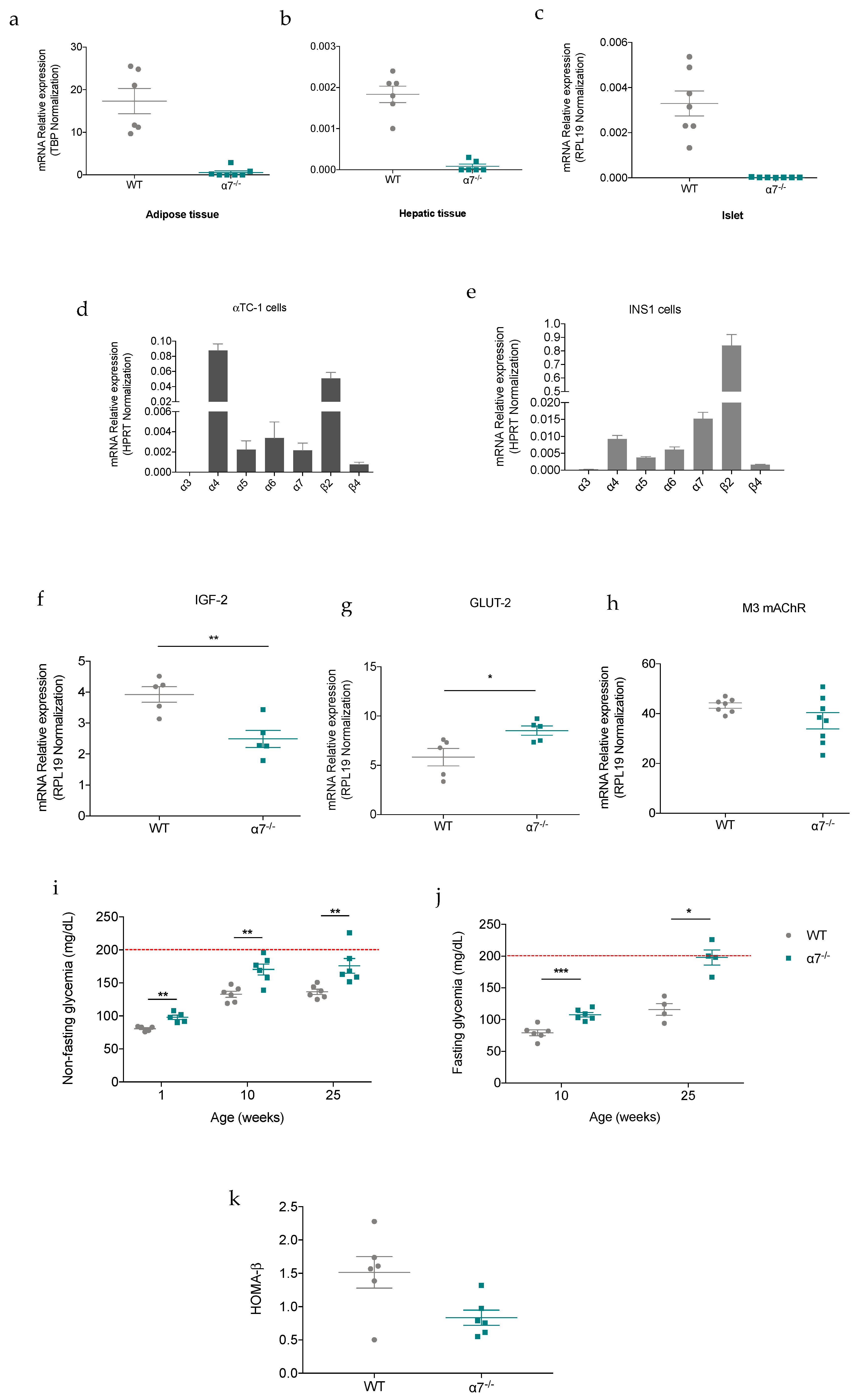 Biomolecules 10 01057 g001