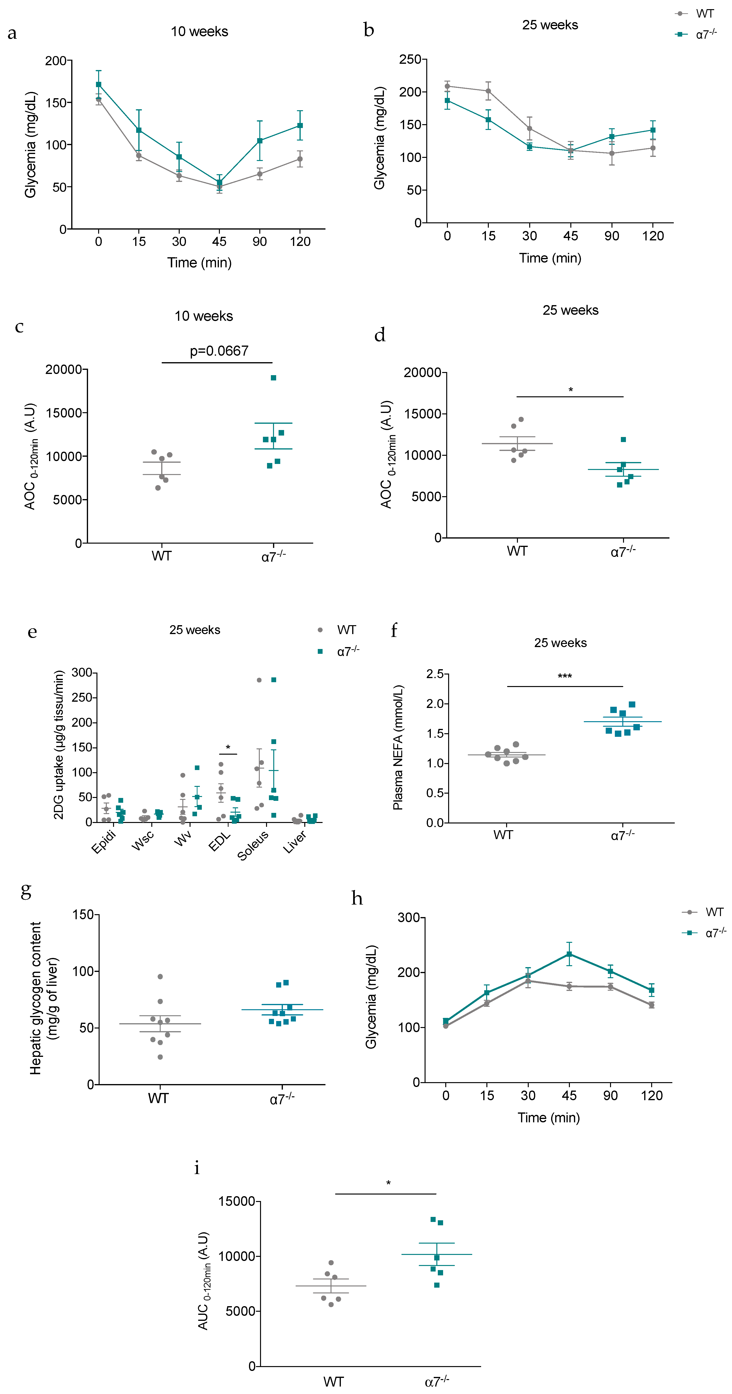 Biomolecules 10 01057 g003