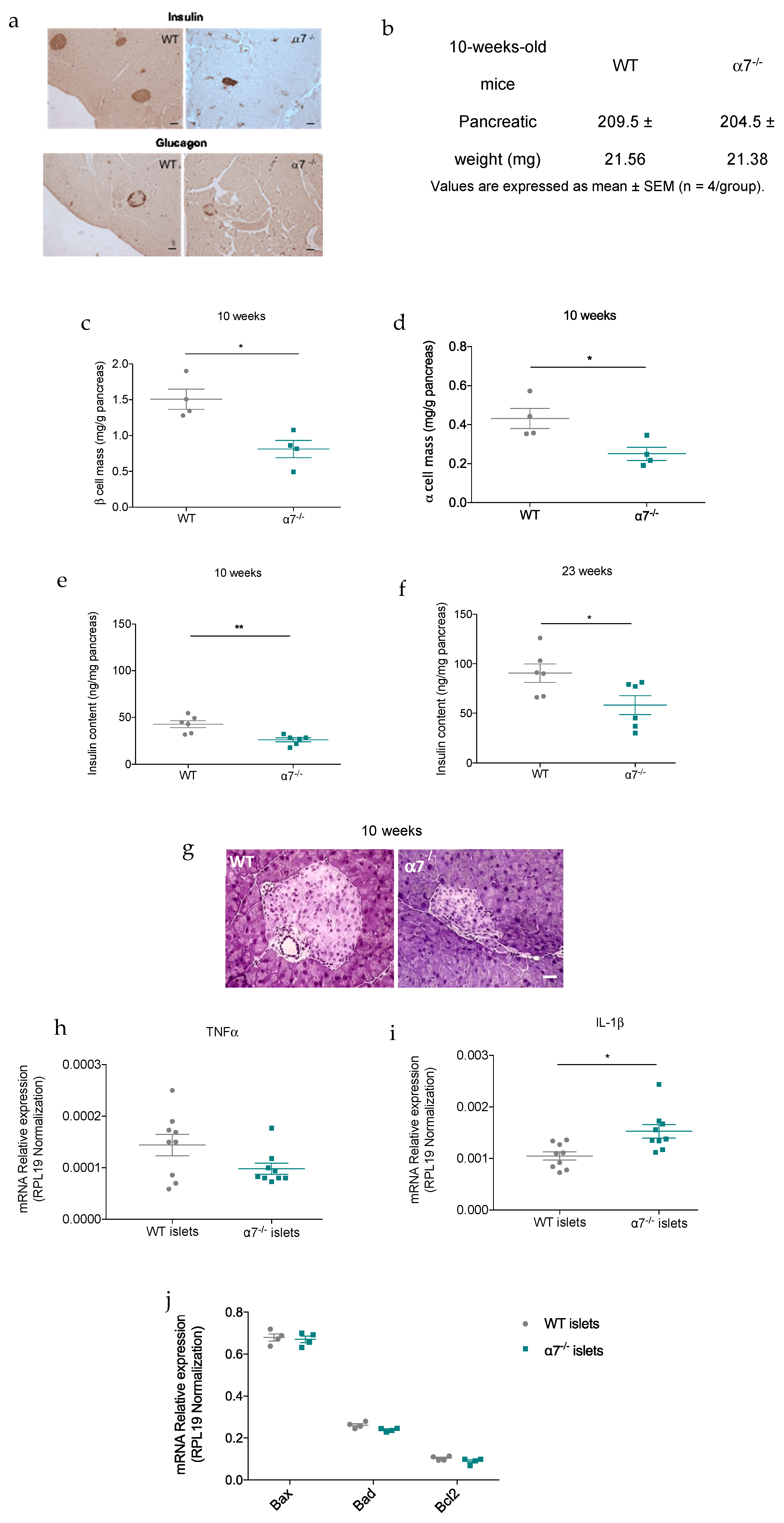 Biomolecules 10 01057 g004