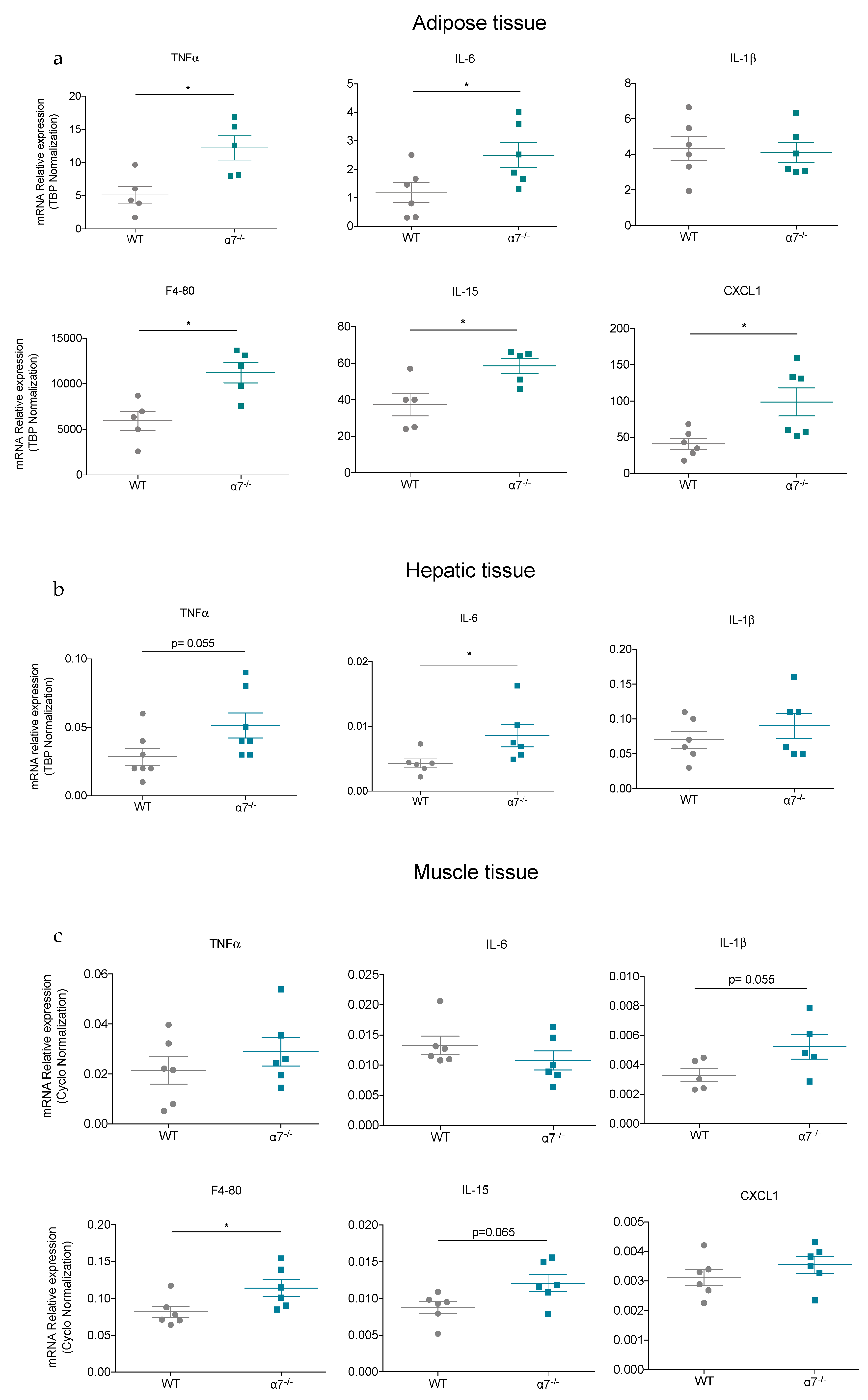 Biomolecules 10 01057 g007