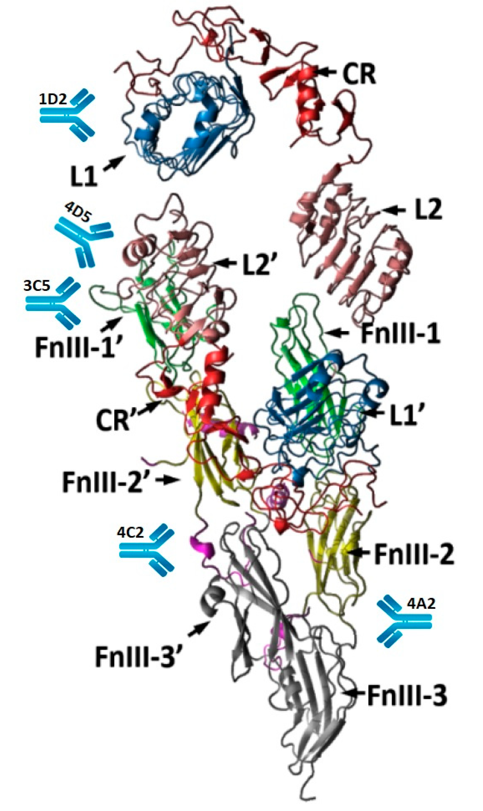 Biomolecules 10 01060 g001