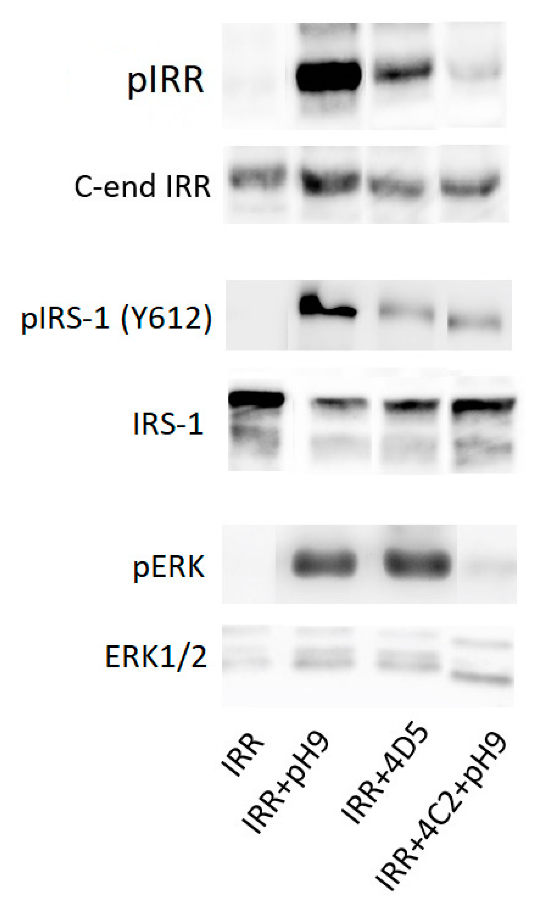 Biomolecules 10 01060 g003