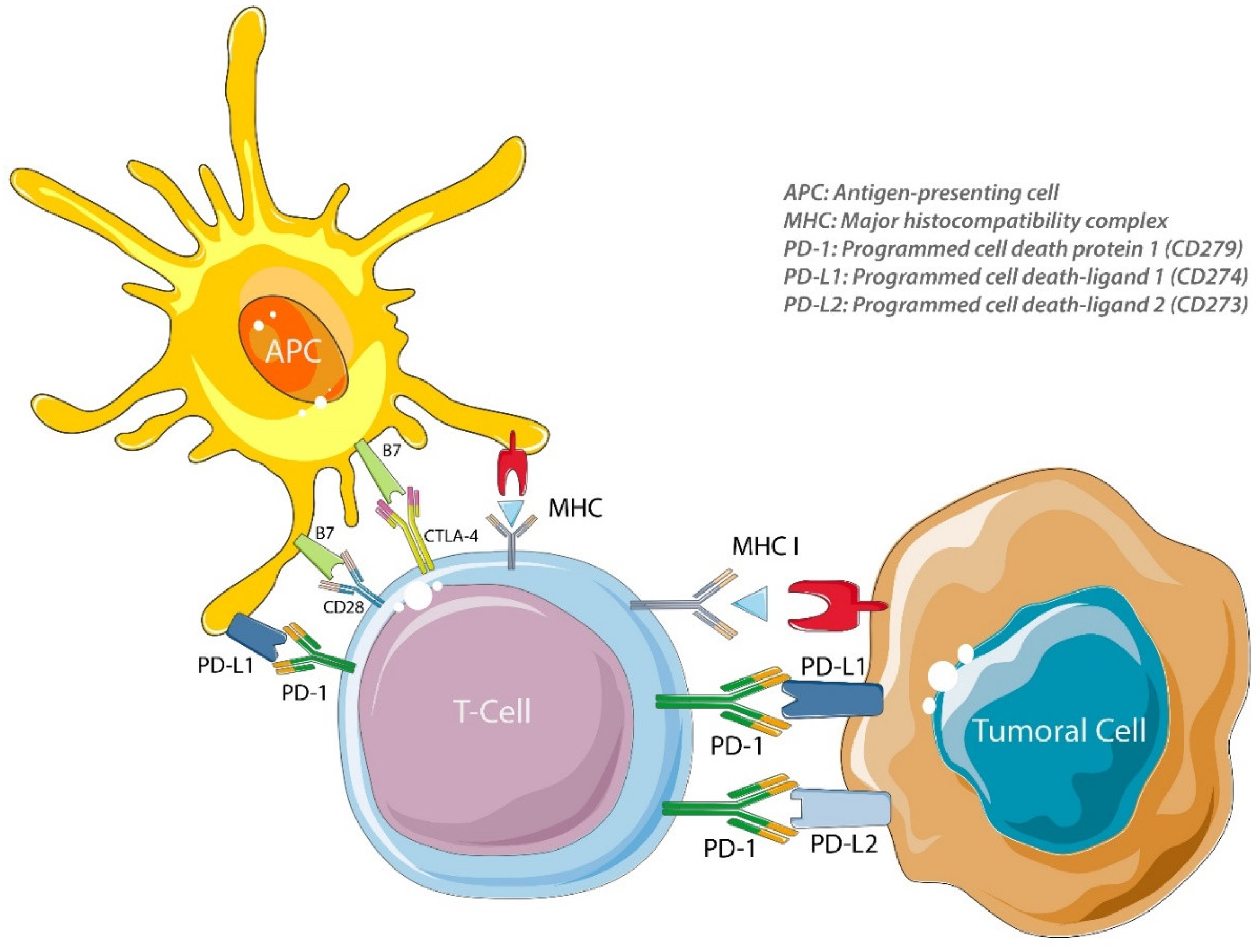 Biomolecules 10 01061 g001