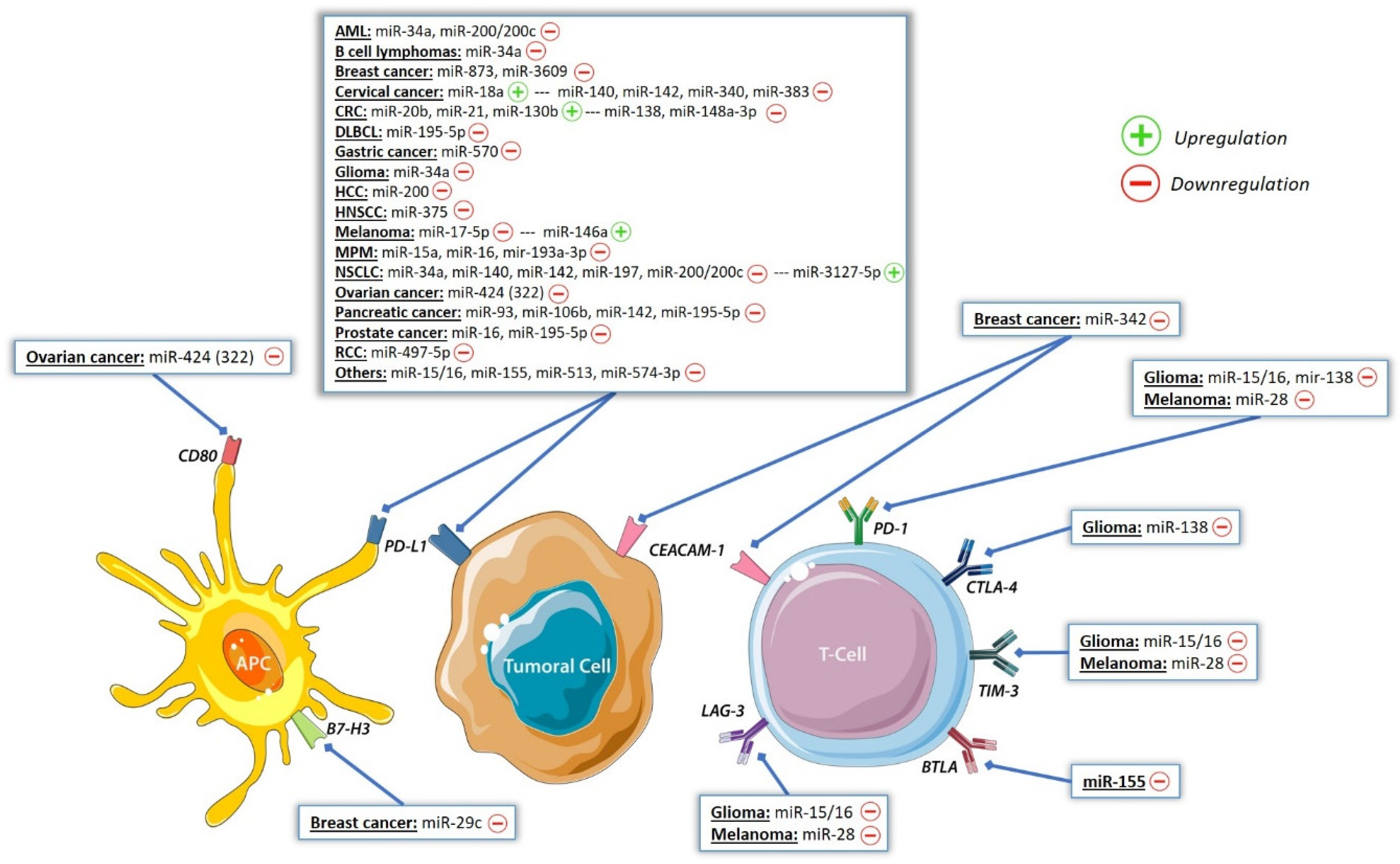 Biomolecules 10 01061 g003