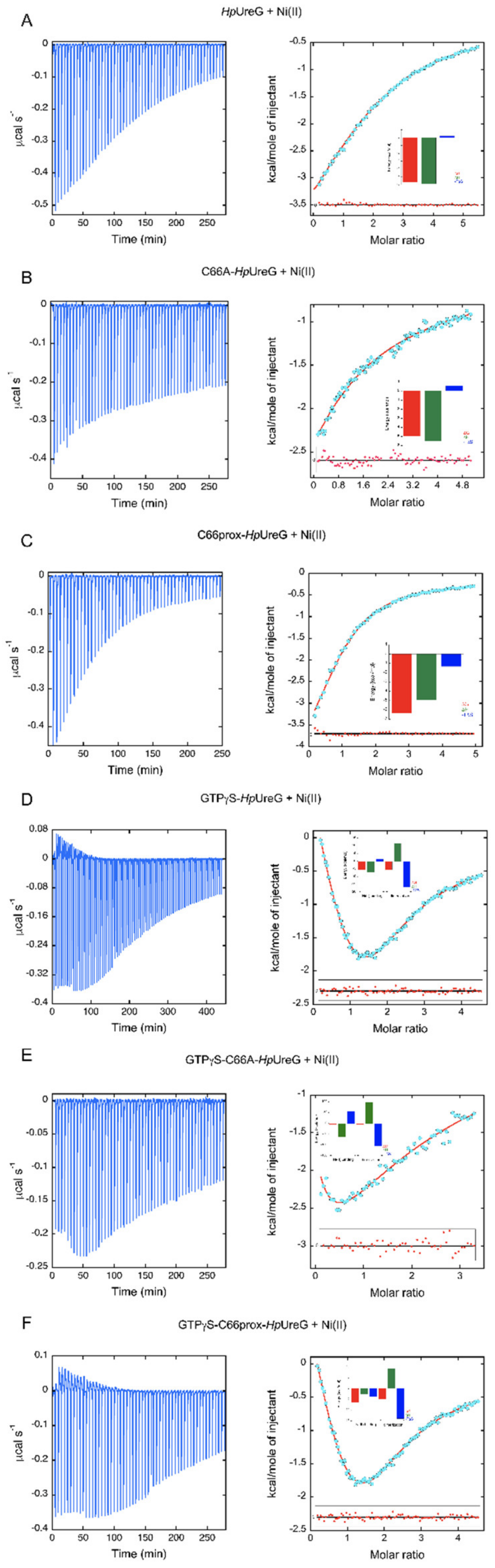 Biomolecules 10 01062 g002