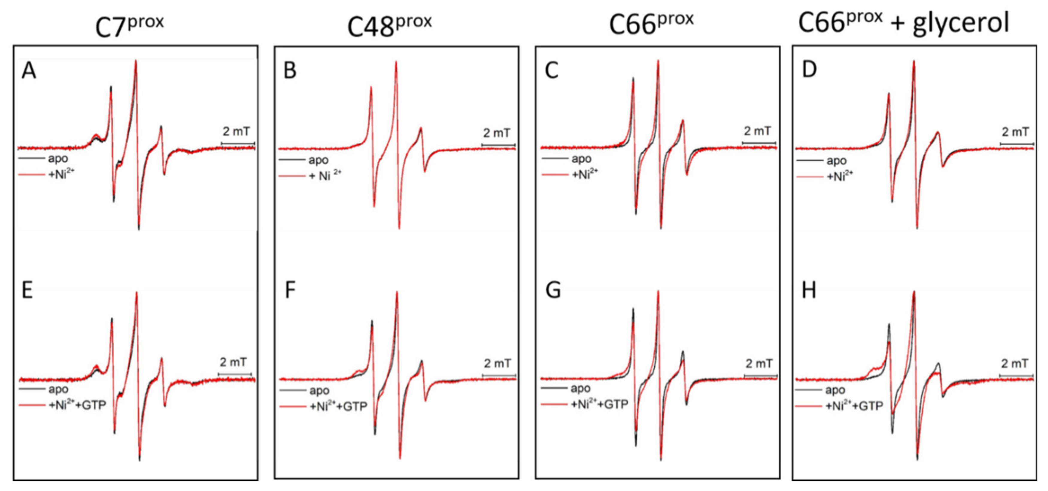 Biomolecules 10 01062 g006