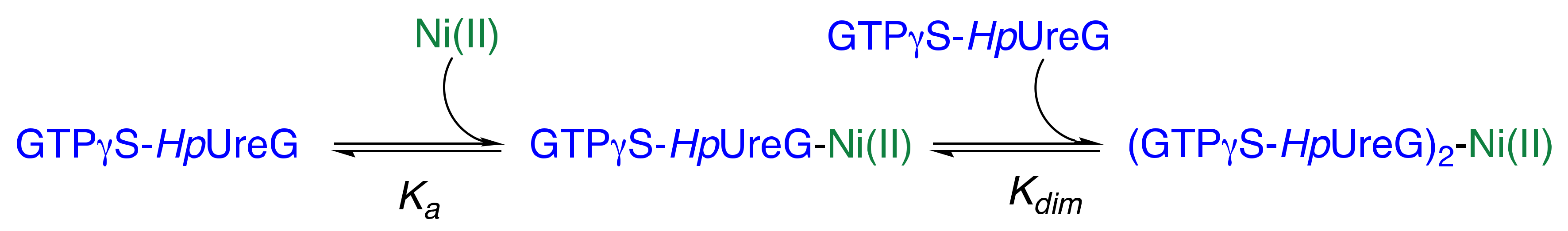 Biomolecules 10 01062 sch001