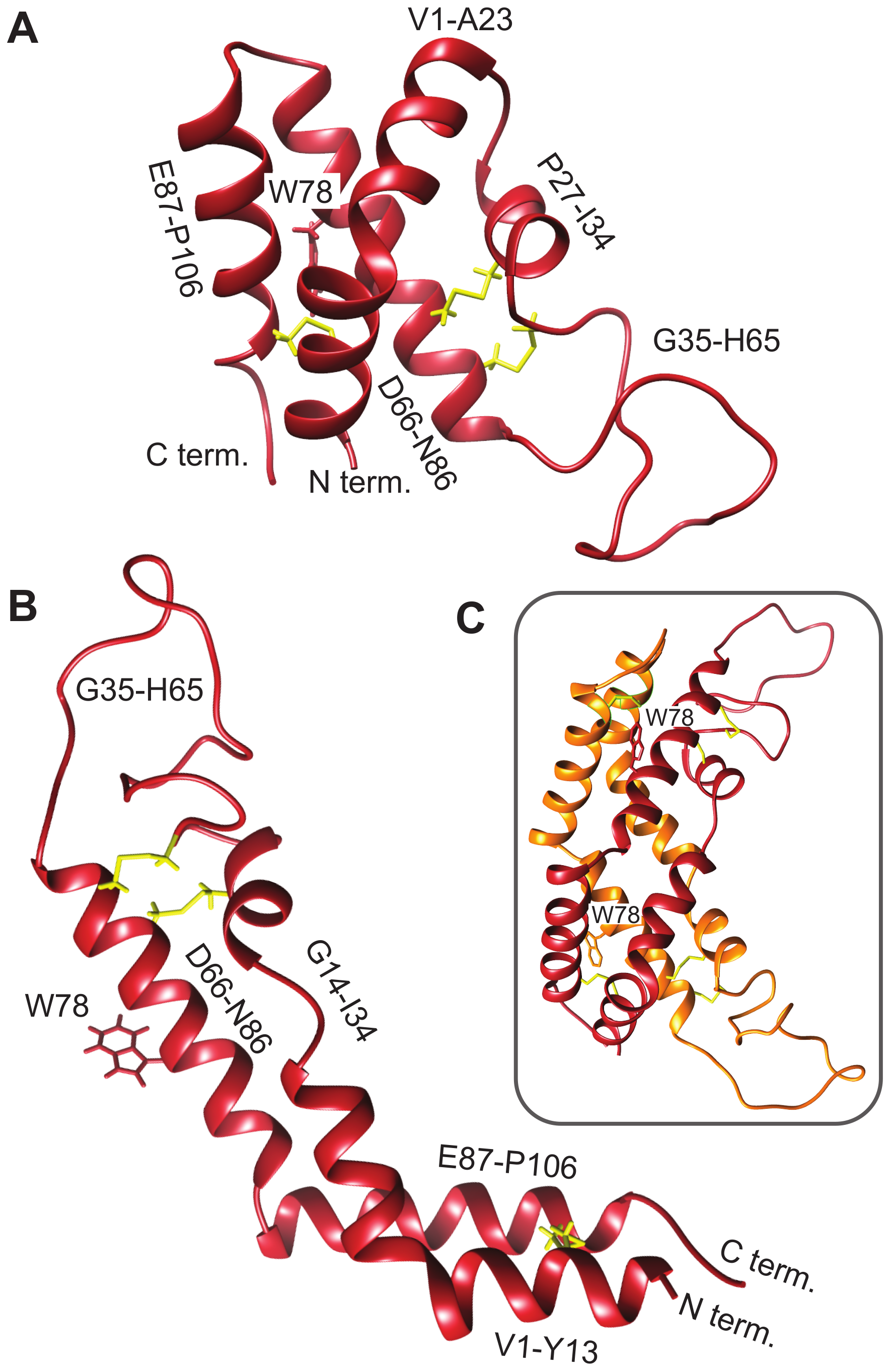 Biomolecules 10 01069 g002