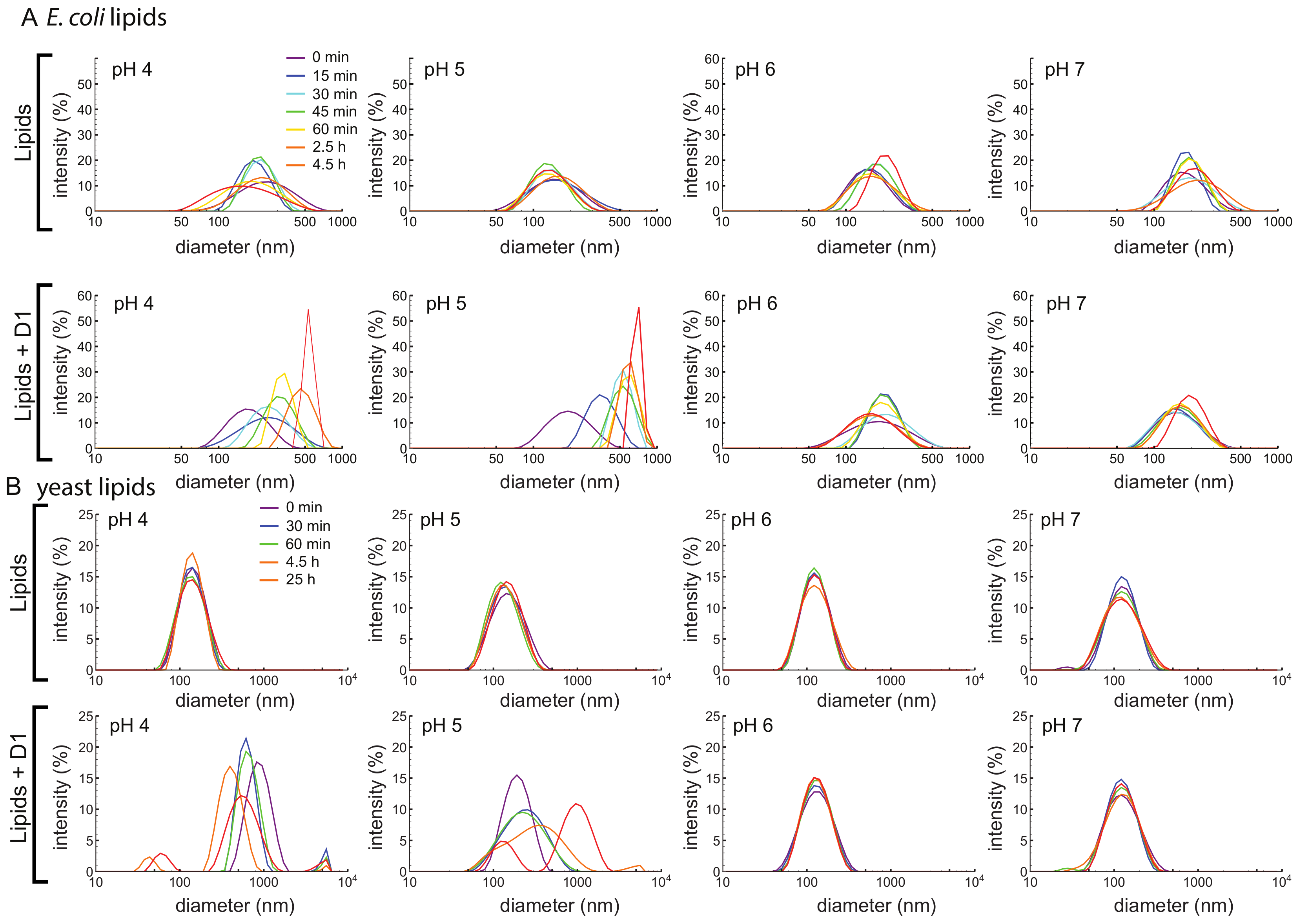 Biomolecules 10 01069 g004