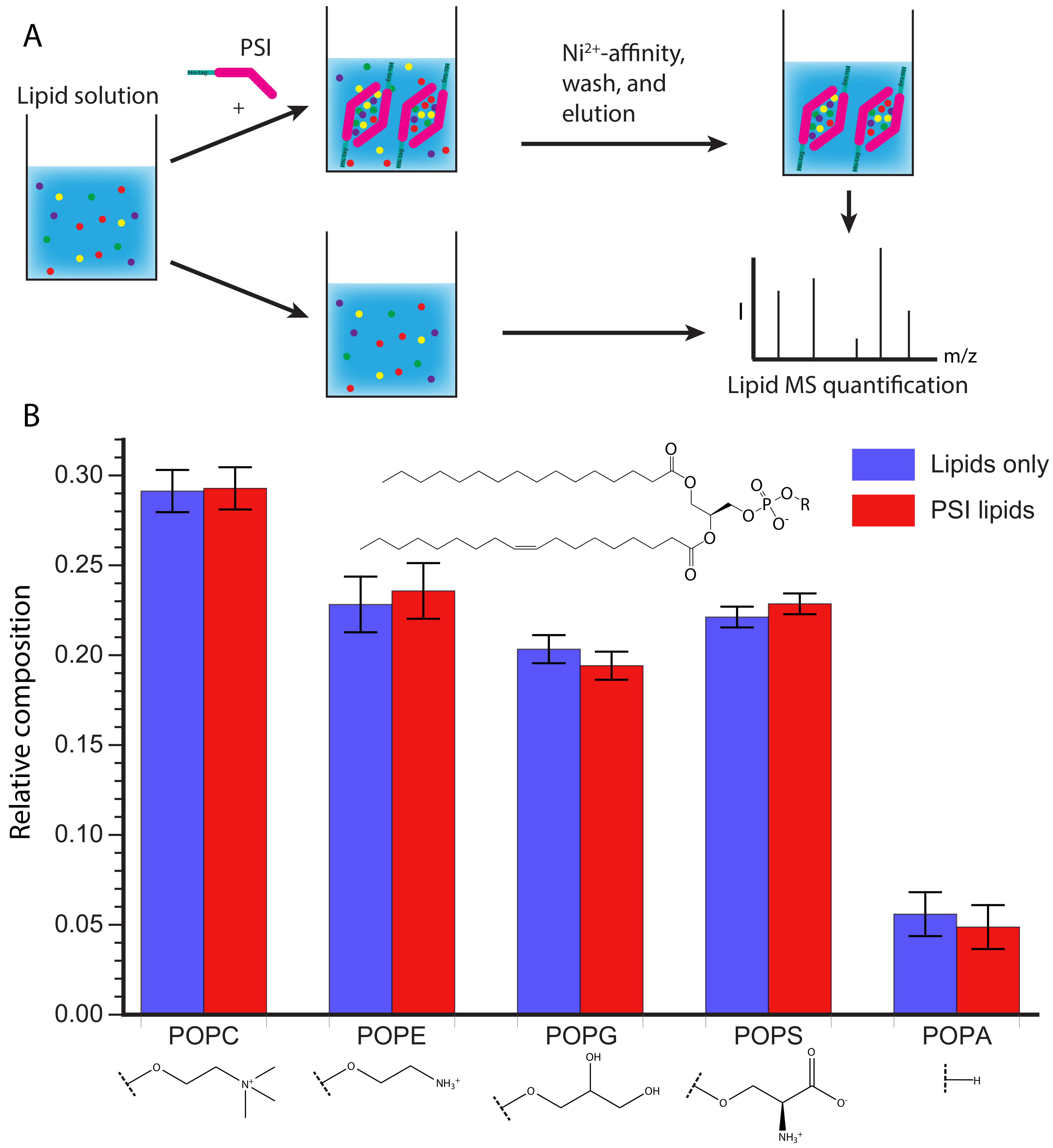 Biomolecules 10 01069 g005