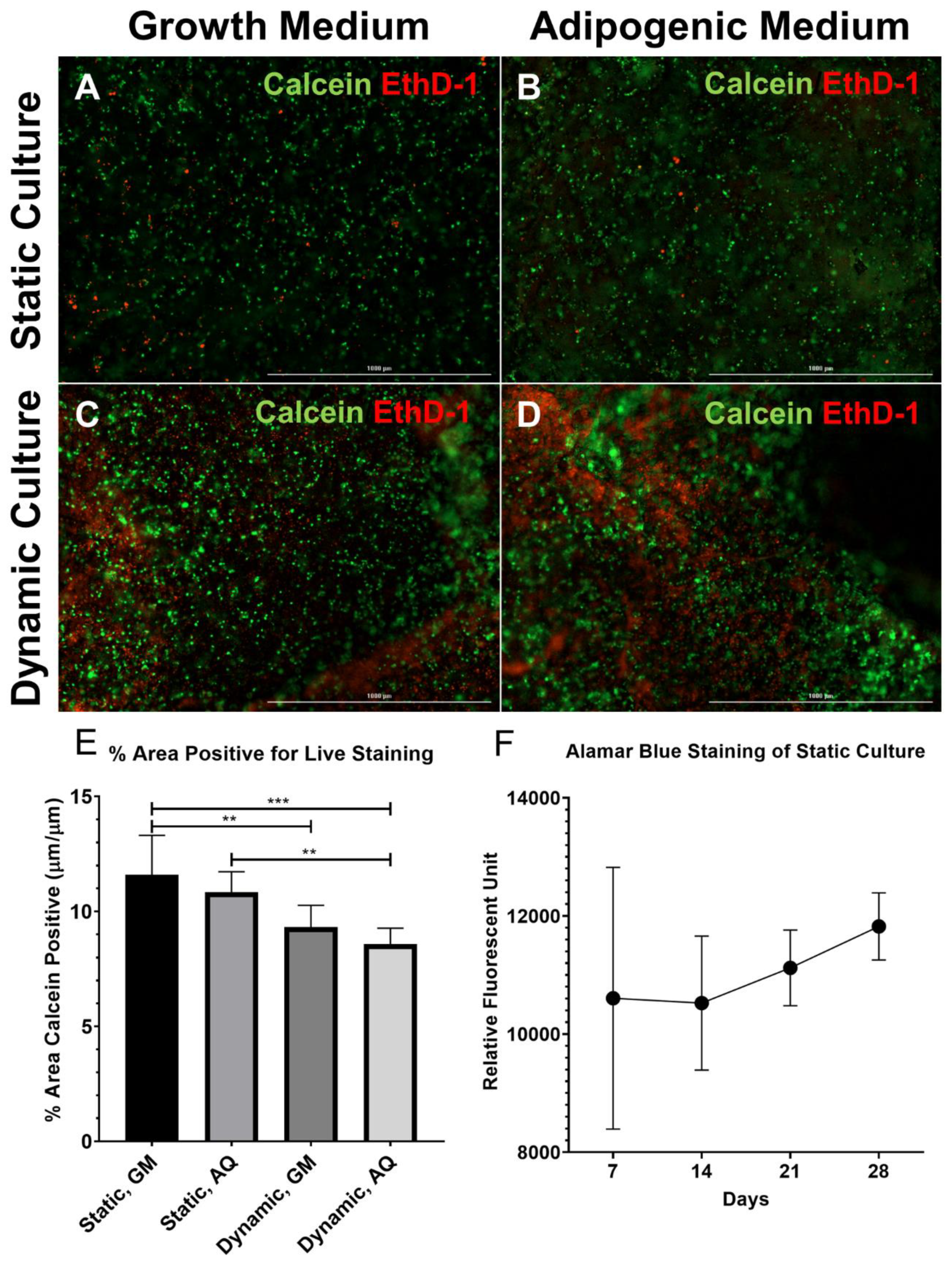 Biomolecules 10 01070 g002 Biomolecules 10 01070 g002