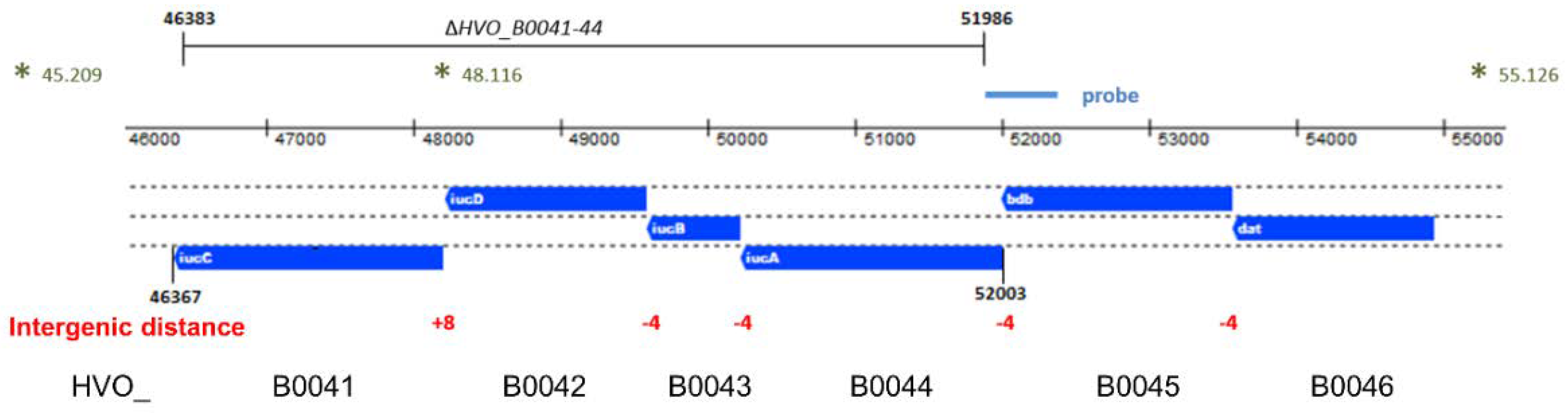 Biomolecules 10 01072 g001