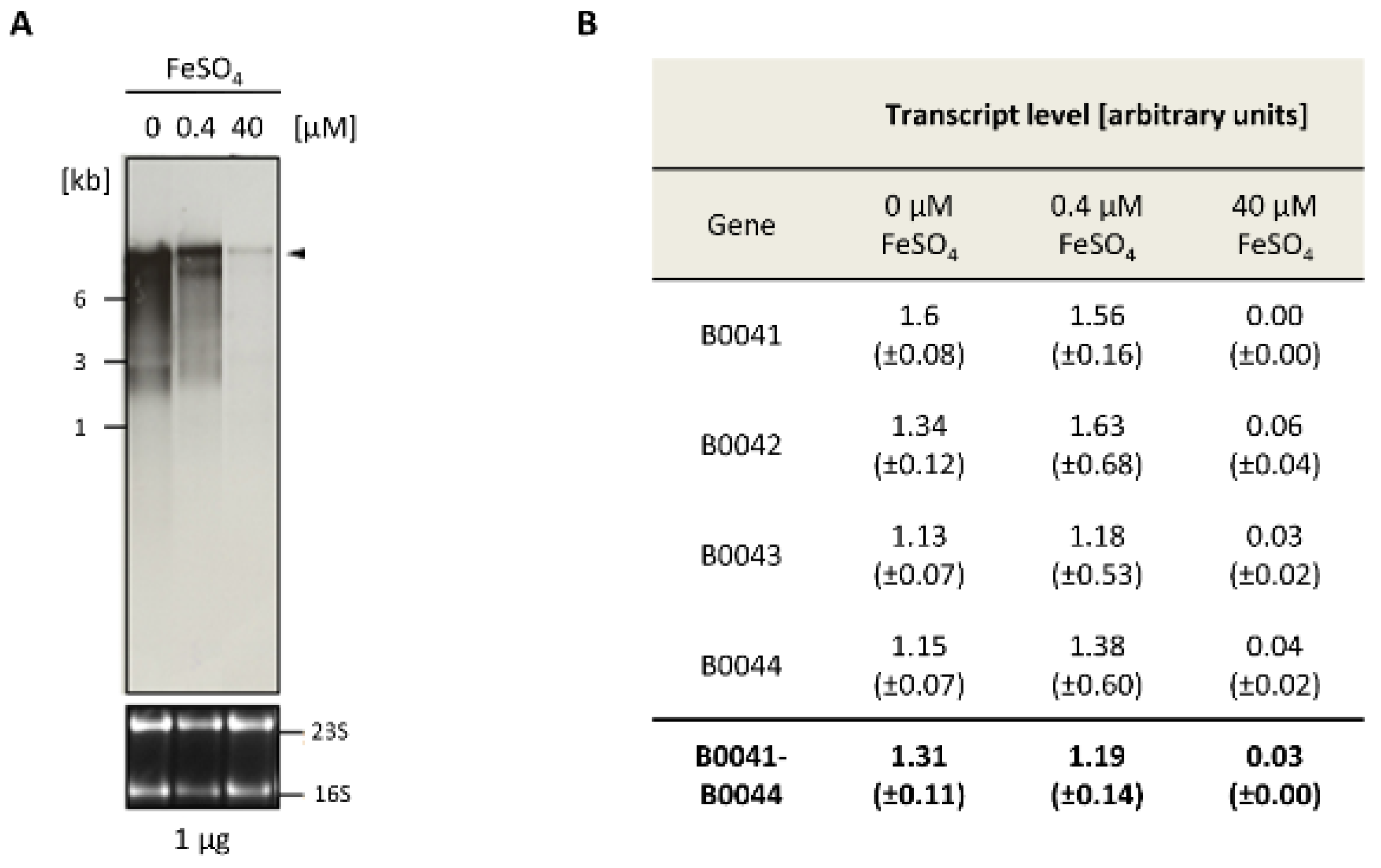 Biomolecules 10 01072 g002
