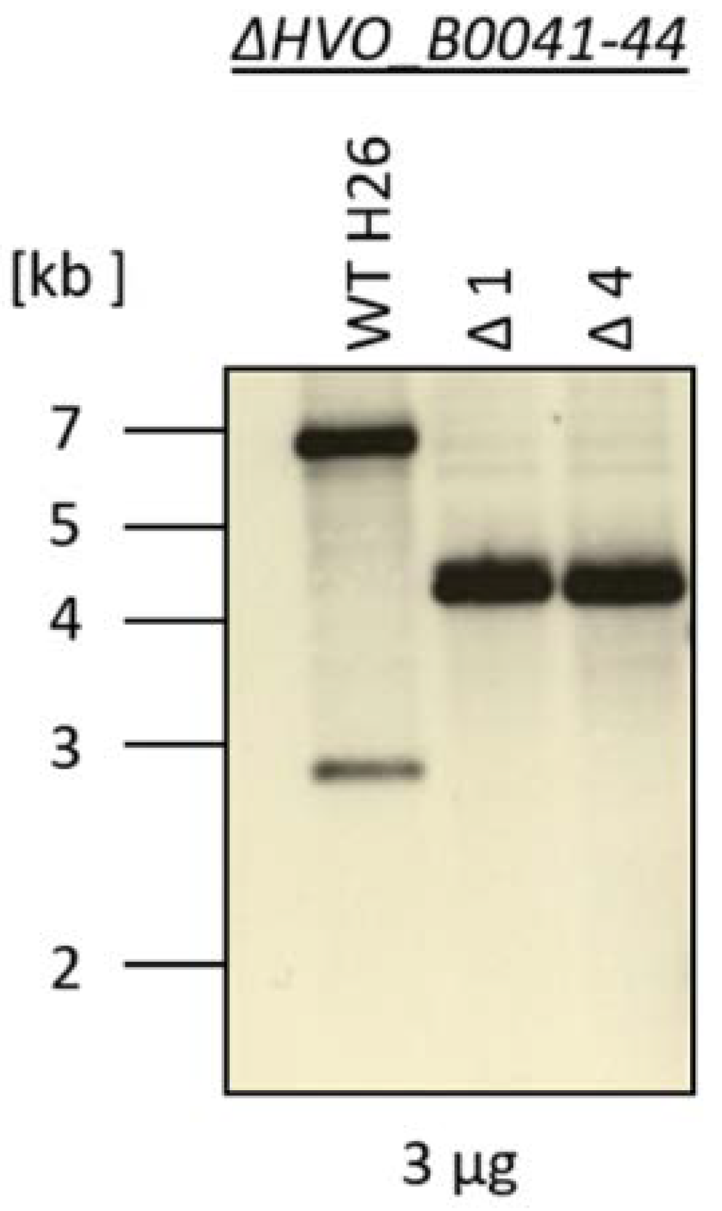 Biomolecules 10 01072 g003