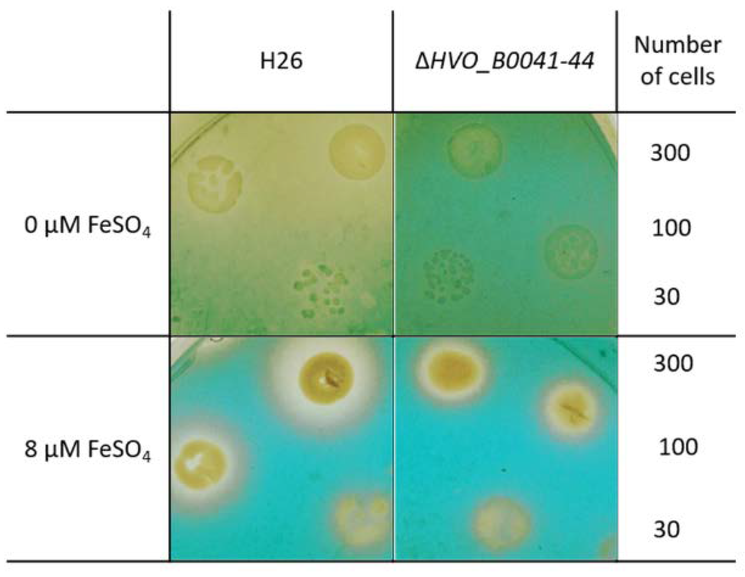 Biomolecules 10 01072 g007