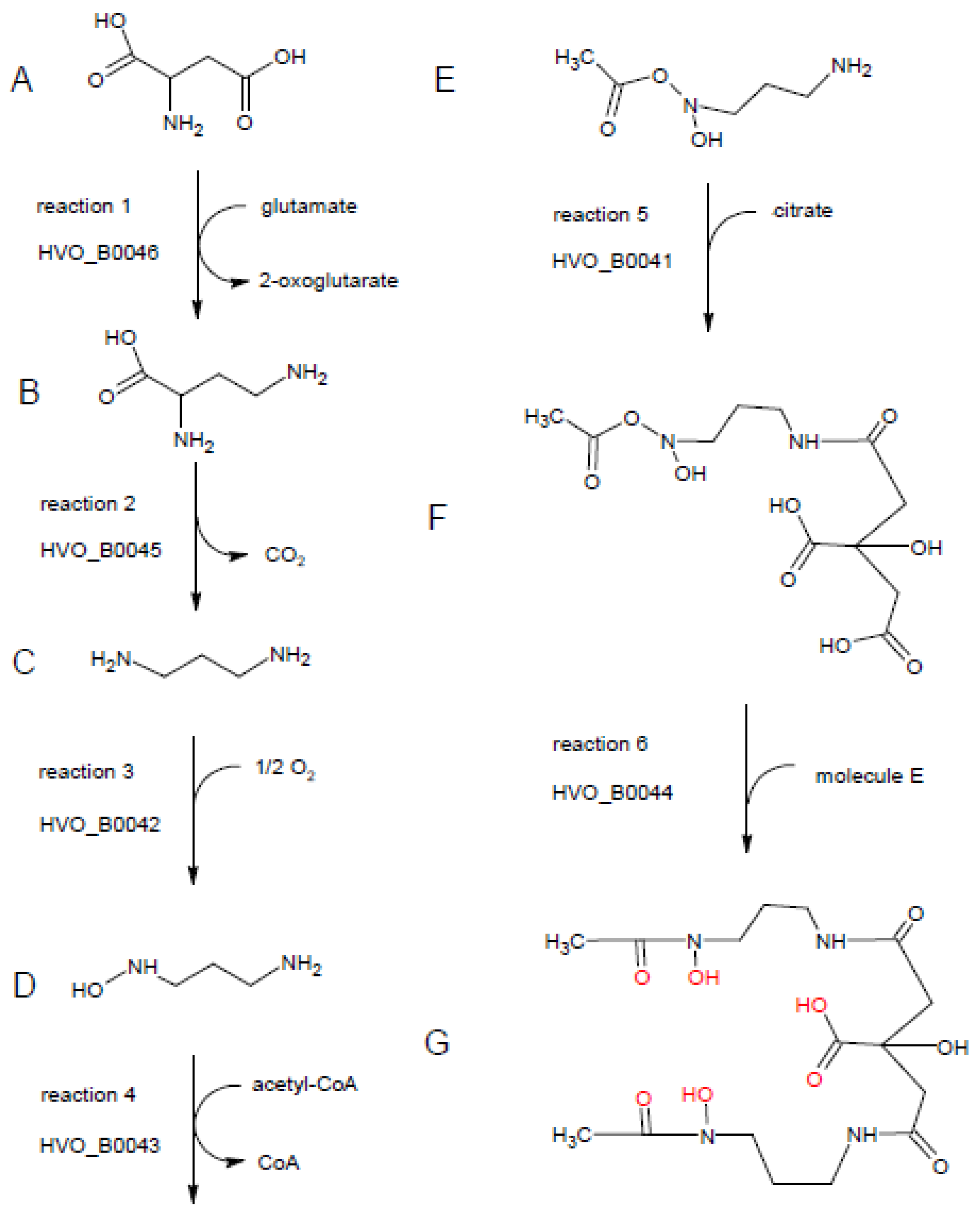 Biomolecules 10 01072 g008