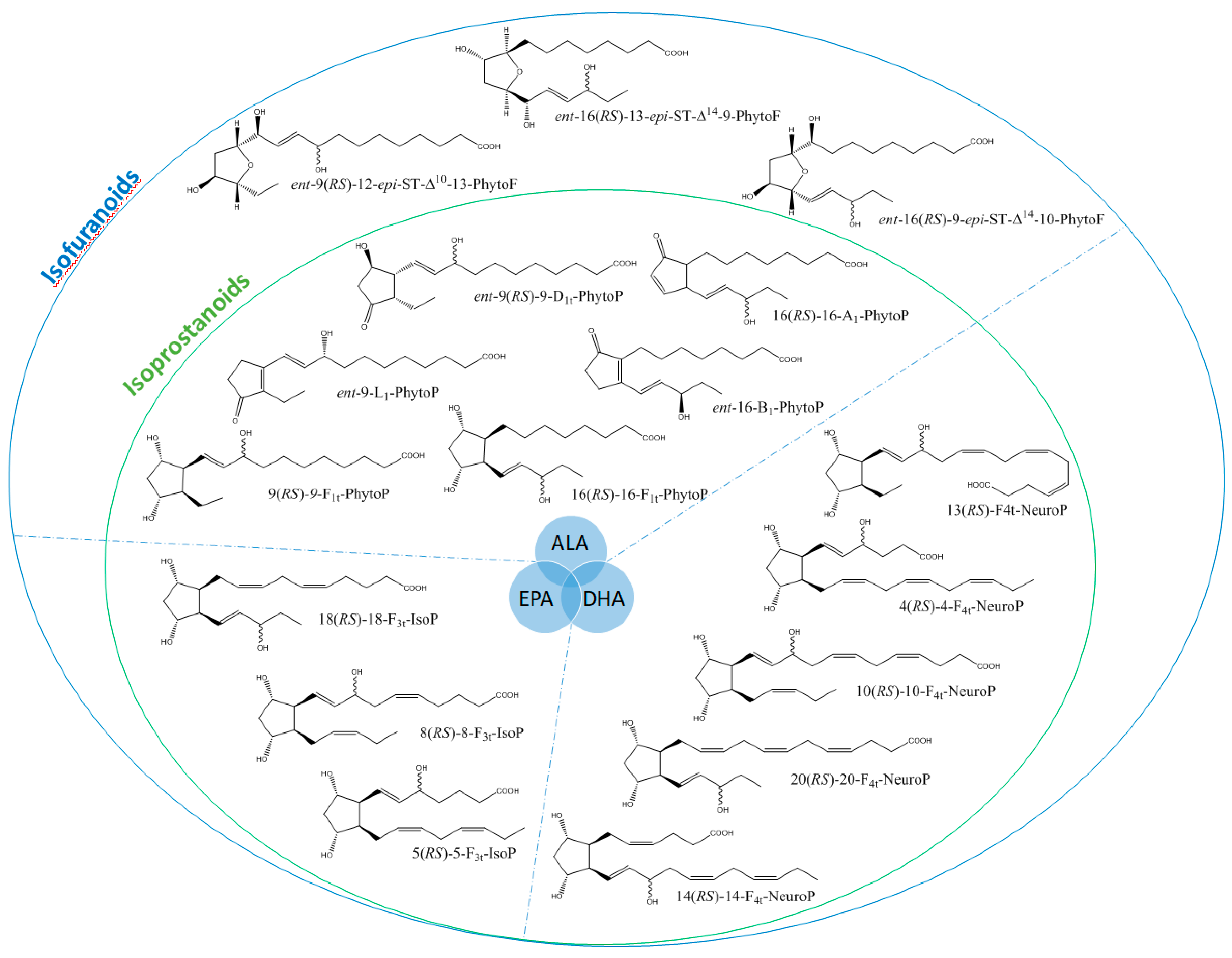 Biomolecules 10 01073 g001
