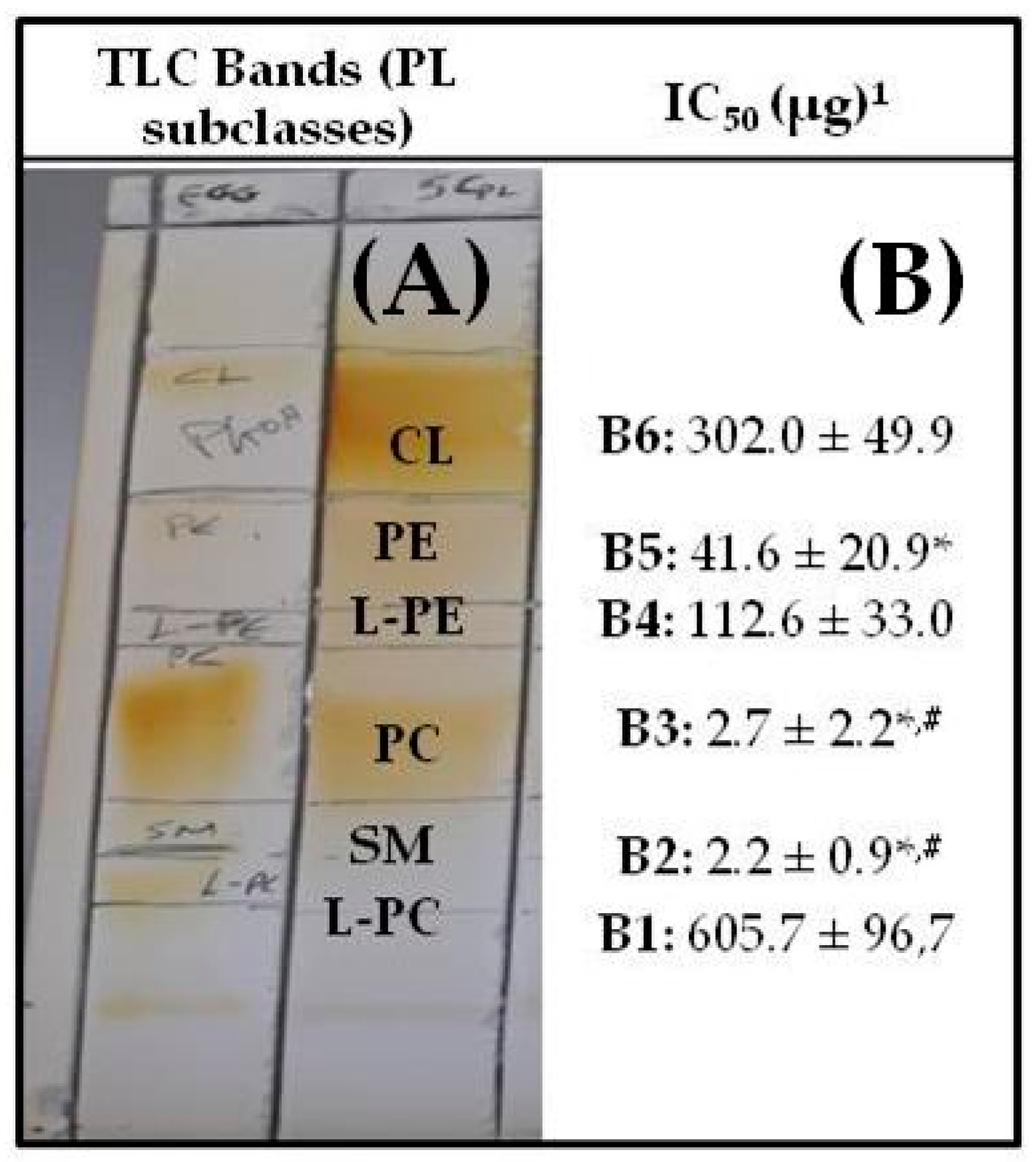 Biomolecules 10 01075 g001 Biomolecules 10 01075 g001