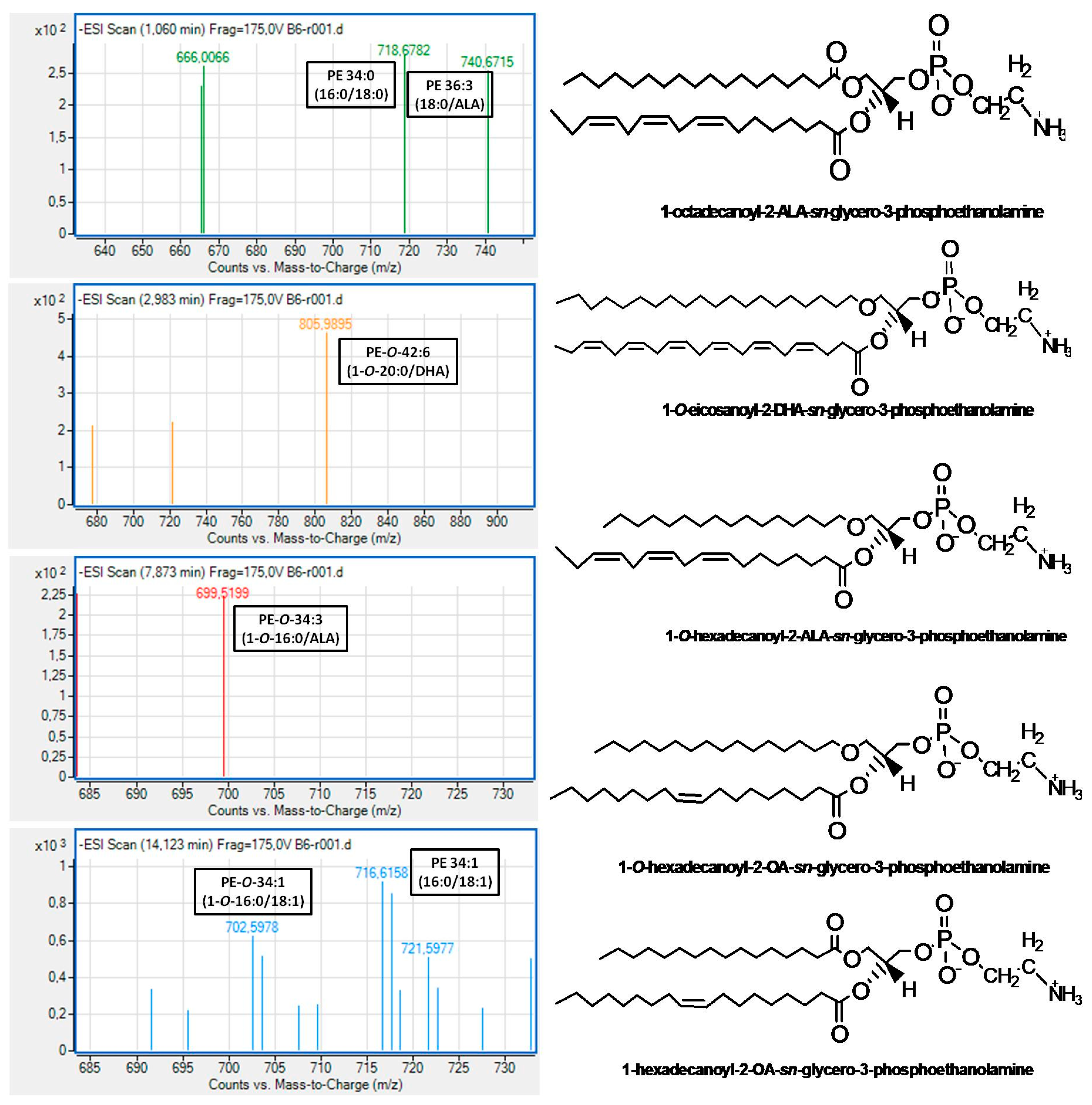 Biomolecules 10 01075 g003 Biomolecules 10 01075 g003
