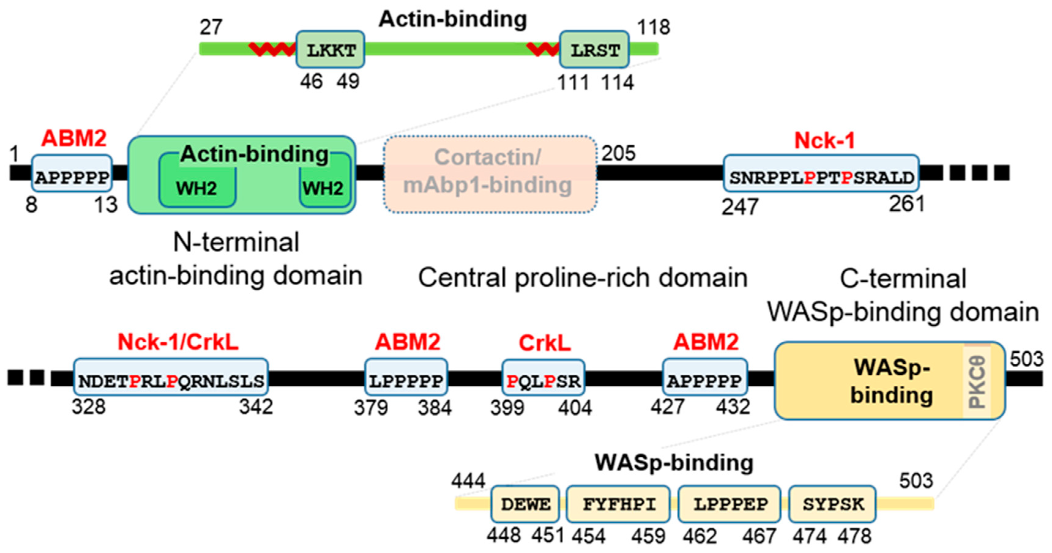 Biomolecules 10 01084 g001