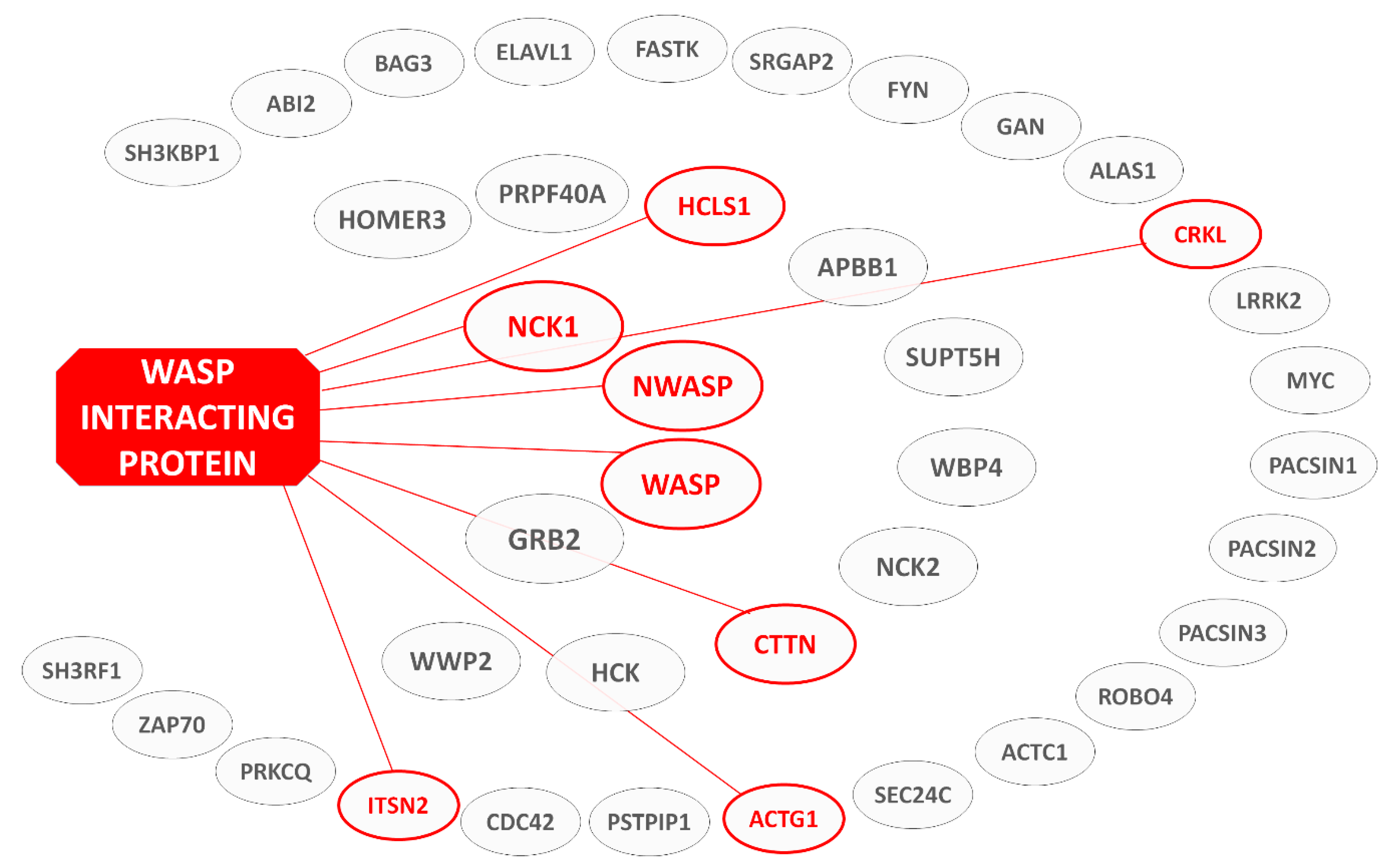Biomolecules 10 01084 g002