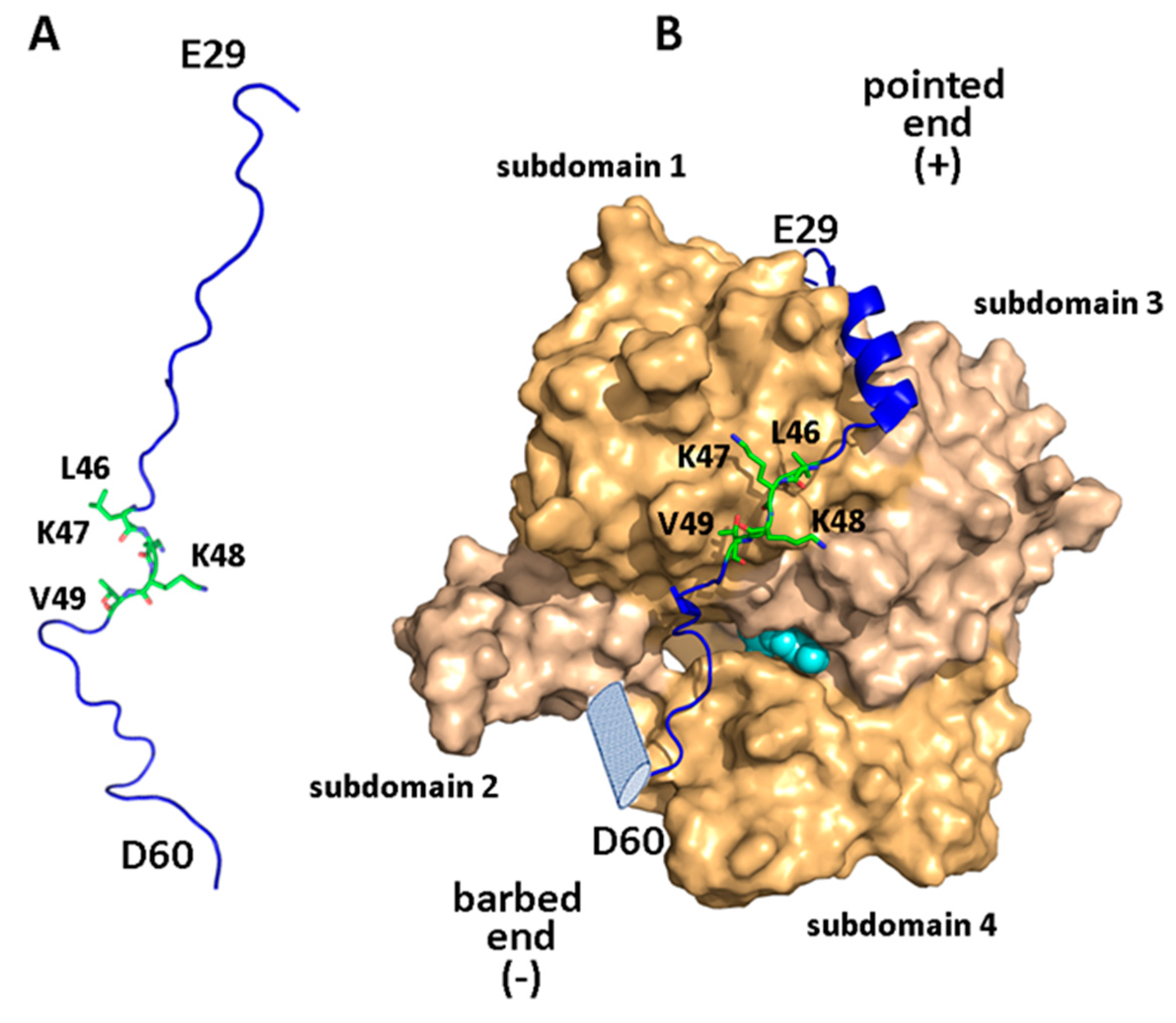 Biomolecules 10 01084 g003